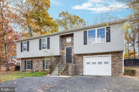 66 TIMBER RIDGE ROAD CAPON BRIDGE WV 26711