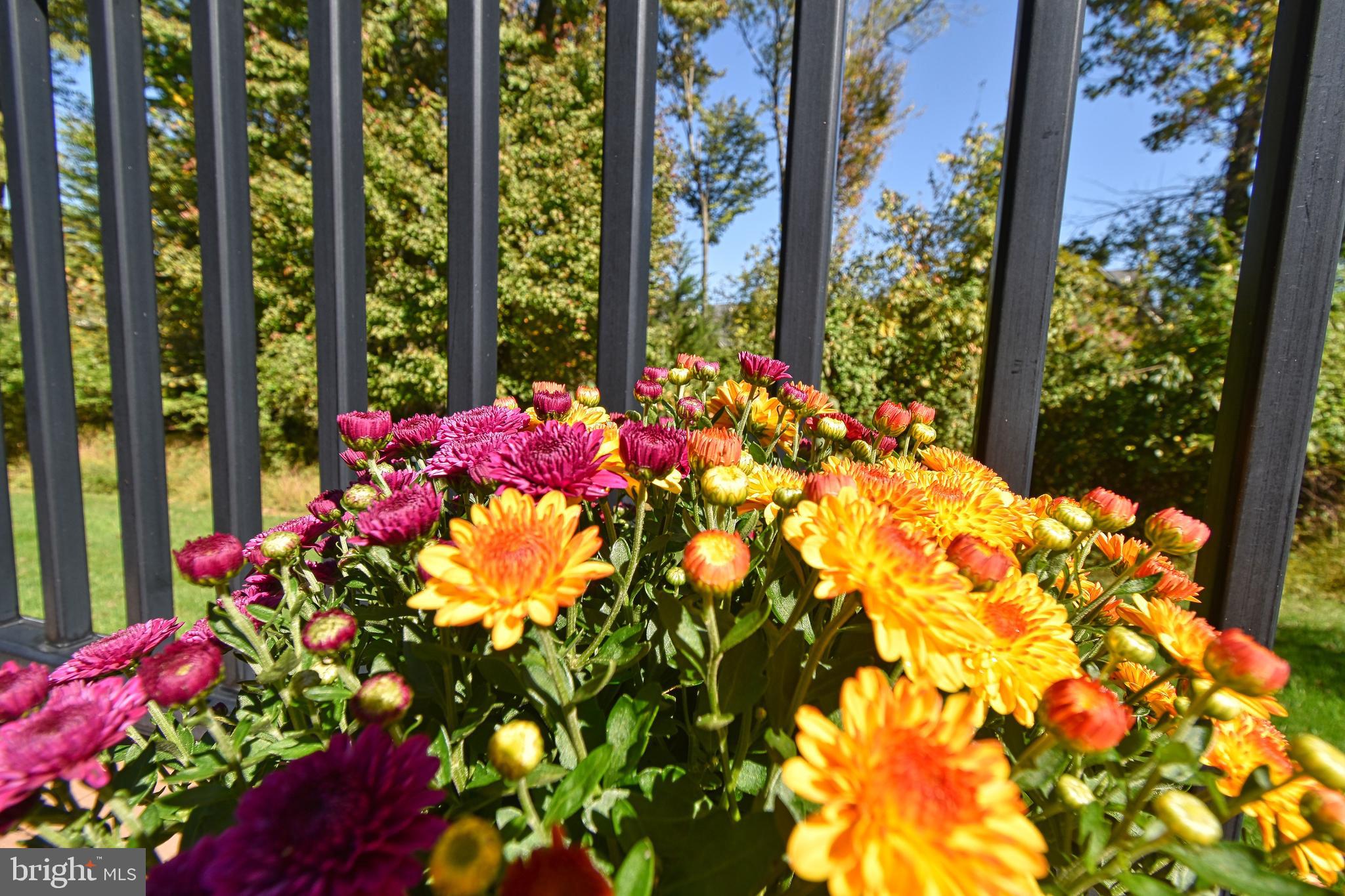 DELANCEY COURT - Residential