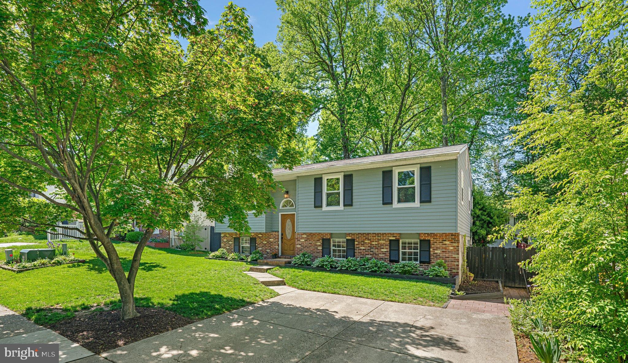 61 DIVIDING CREEK COURT