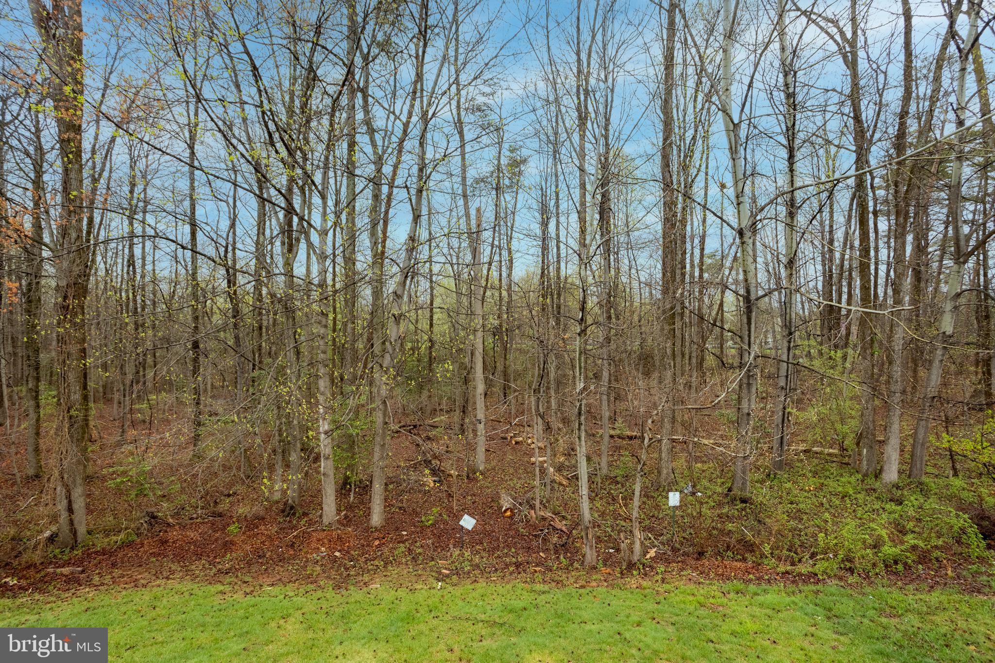 VILLAGES OF DORCHESTER - Residential