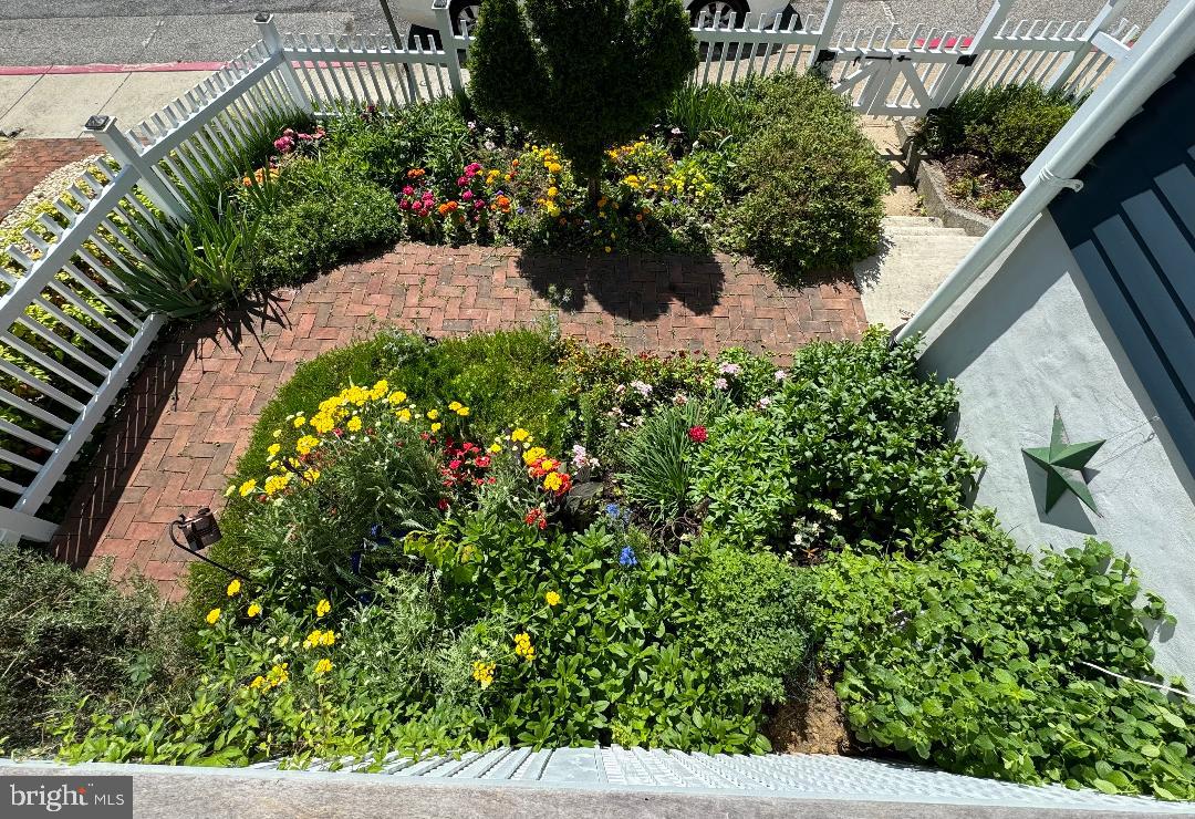 HISTORIC DISTRICT - Residential