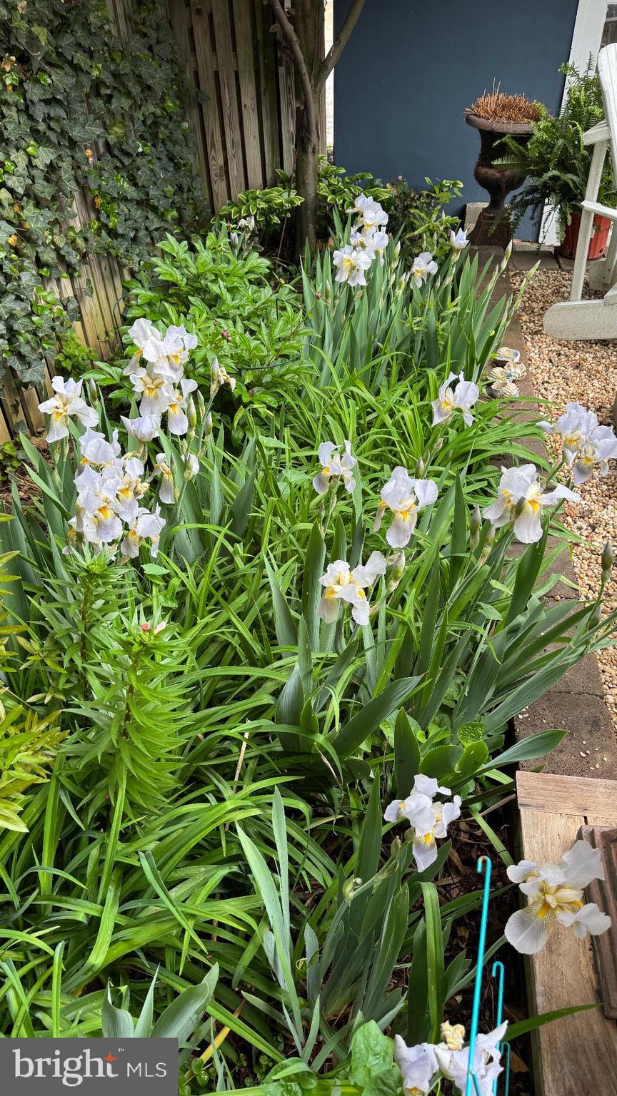 HISTORIC DISTRICT - Residential