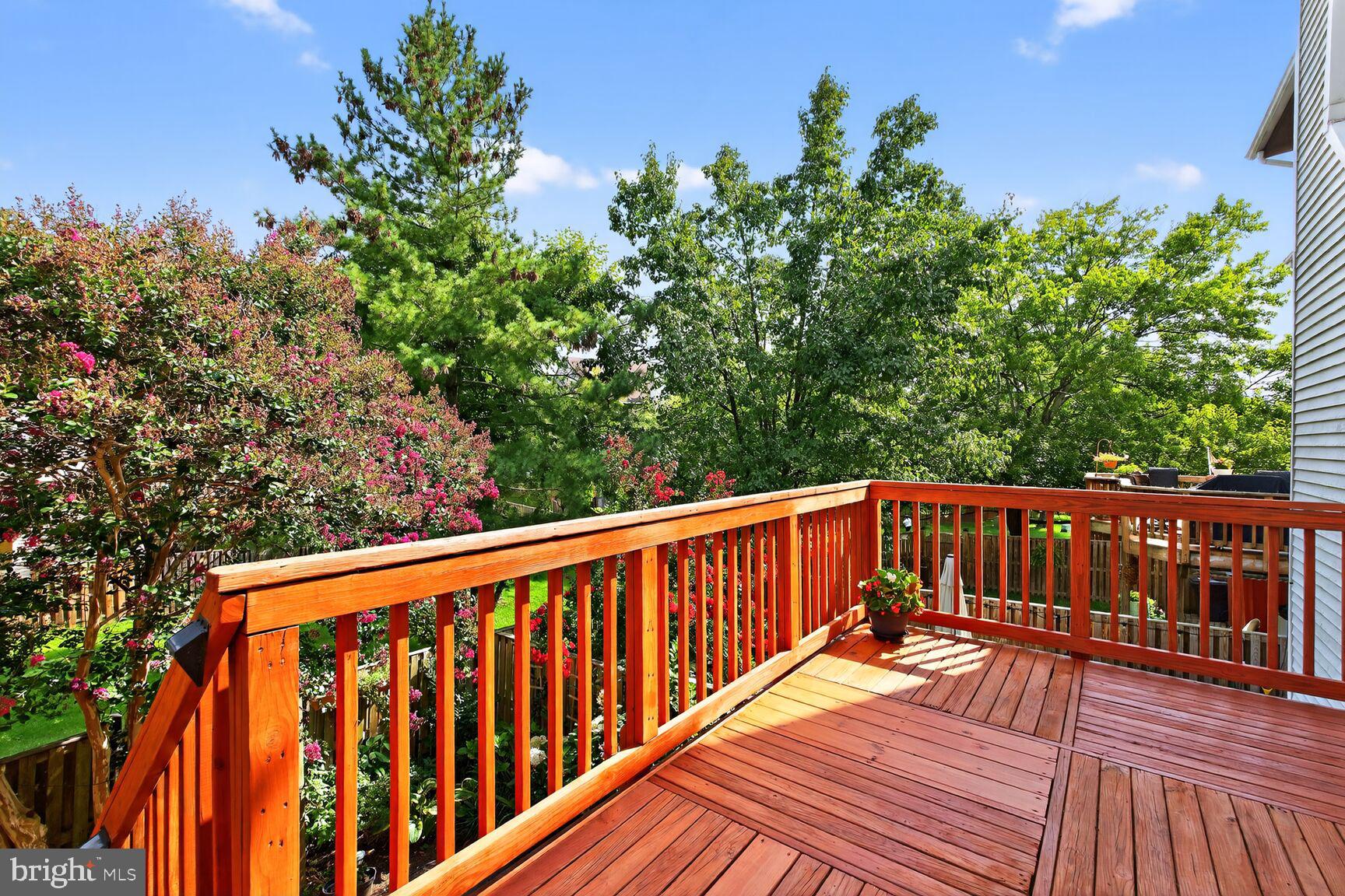 RUNNYMEADE - Residential Lease