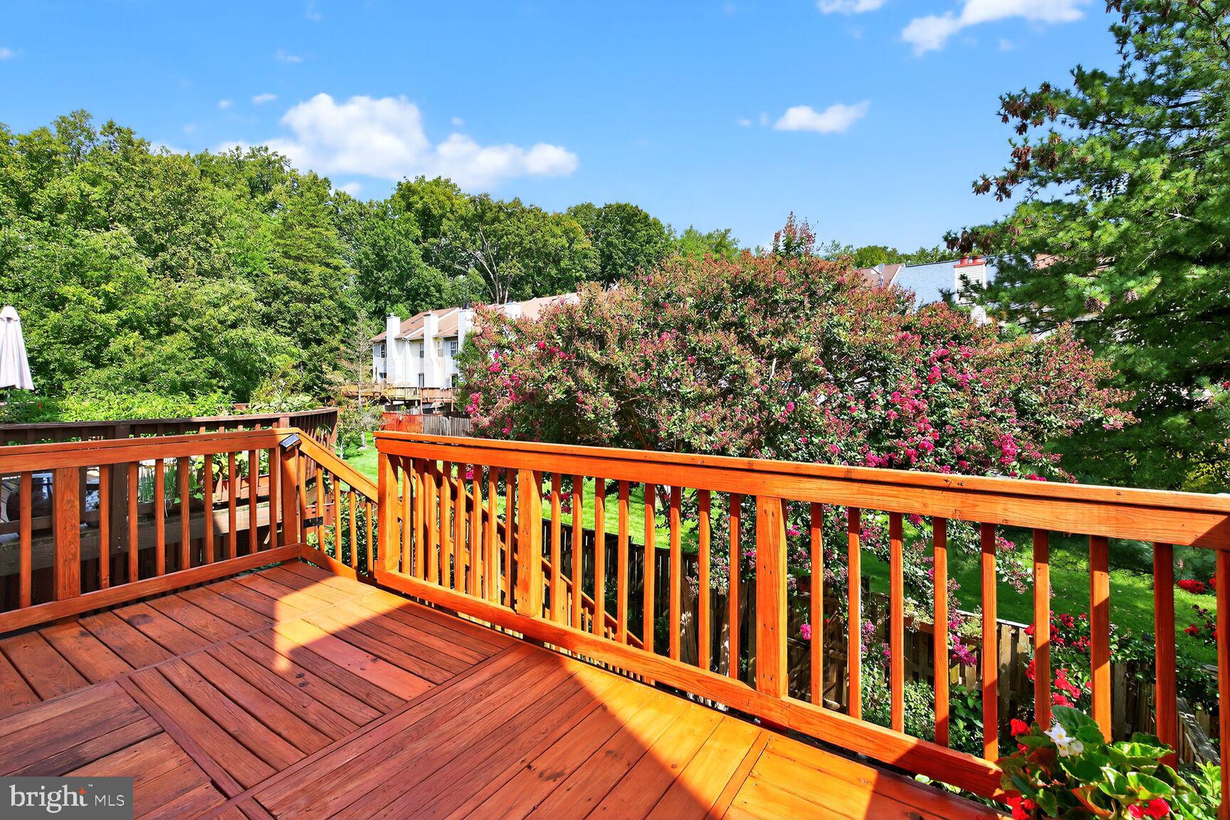 RUNNYMEADE - Residential Lease