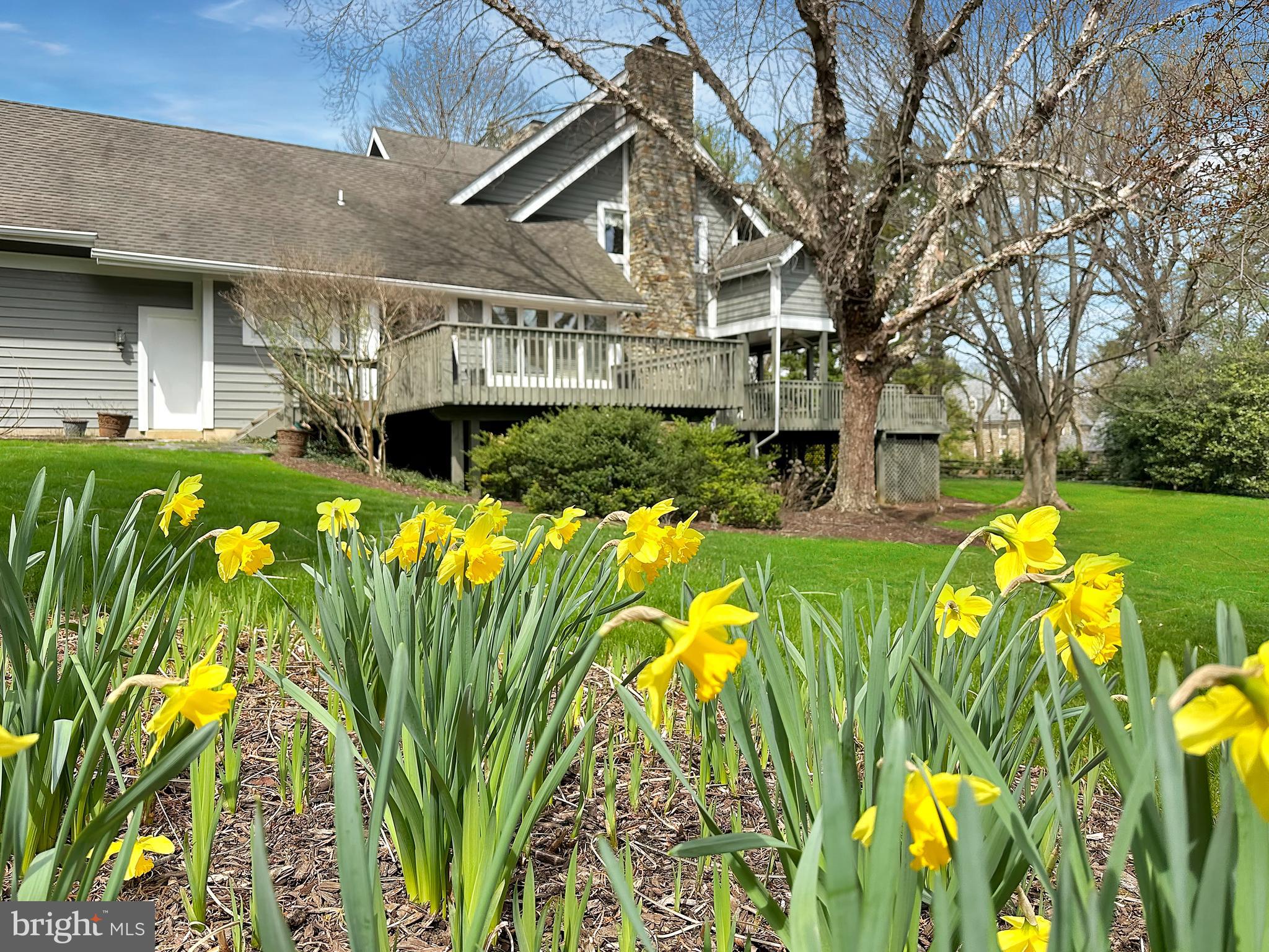 RUXTON - Residential