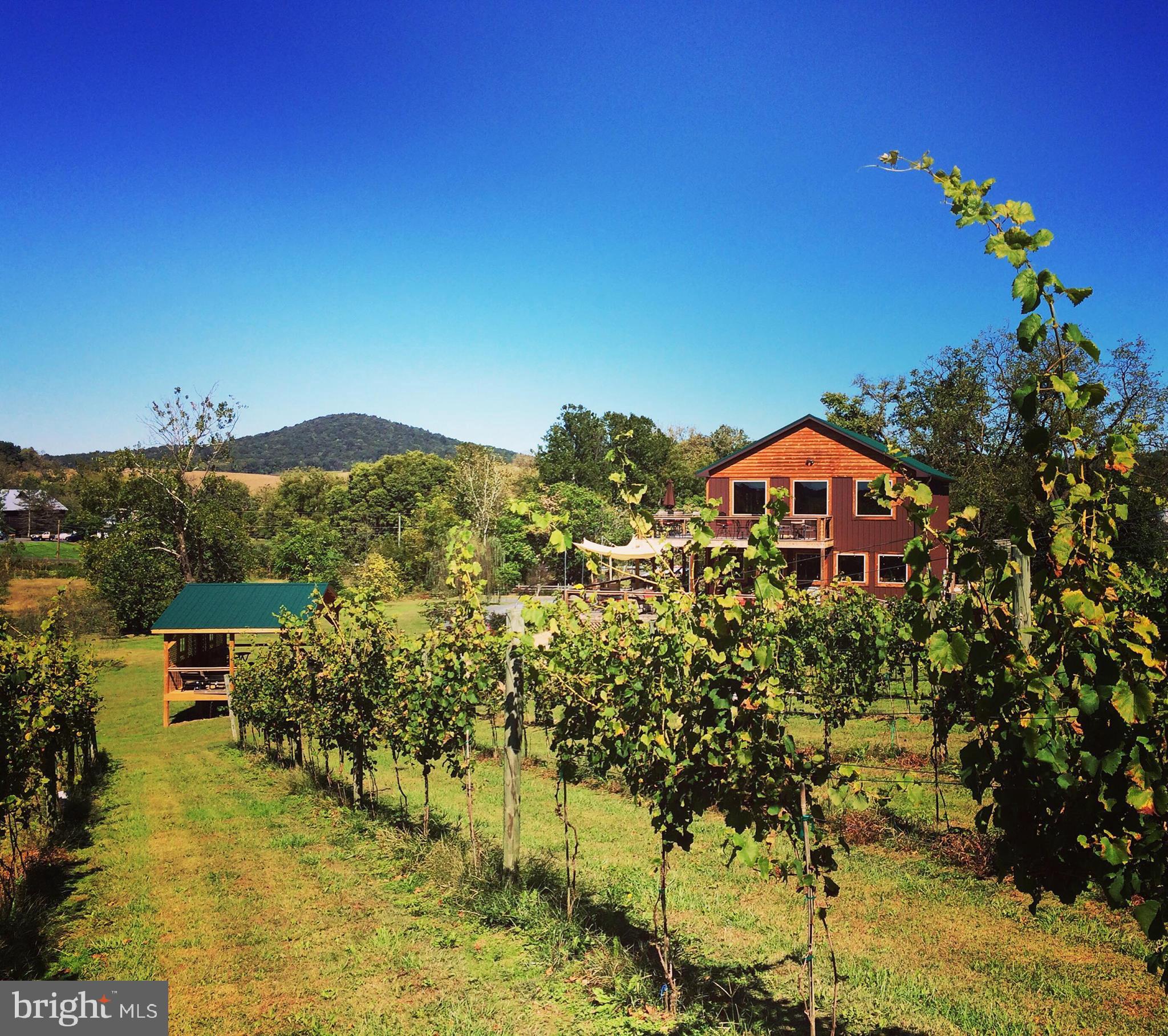 NONE AVAILABLE - Farm