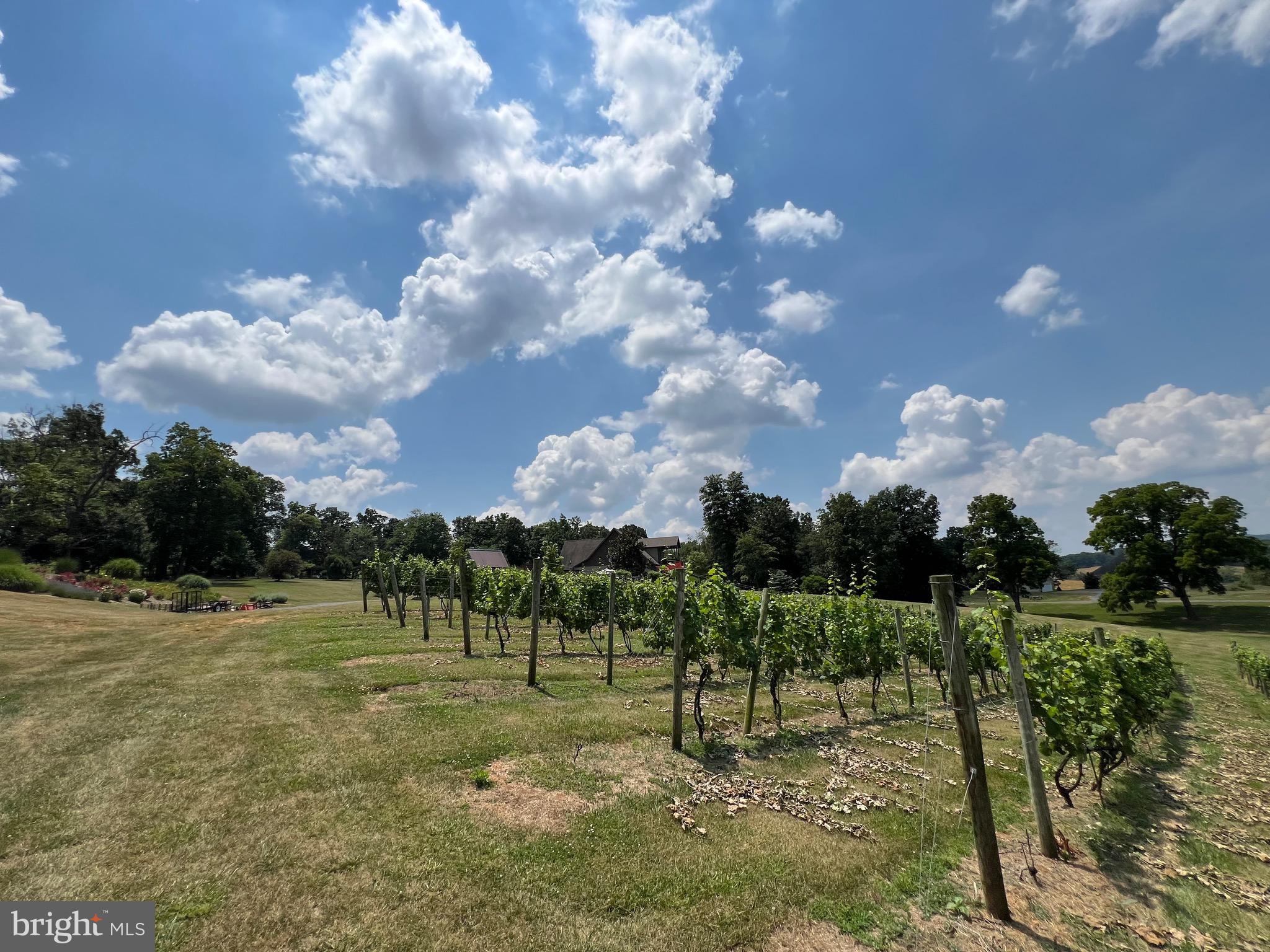 NONE AVAILABLE - Farm