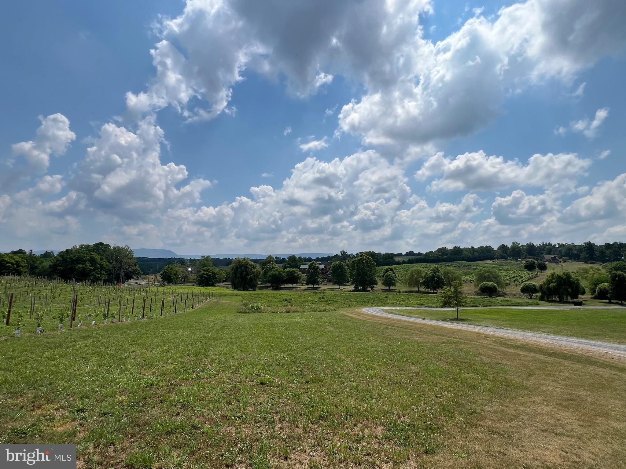 NONE AVAILABLE - Farm