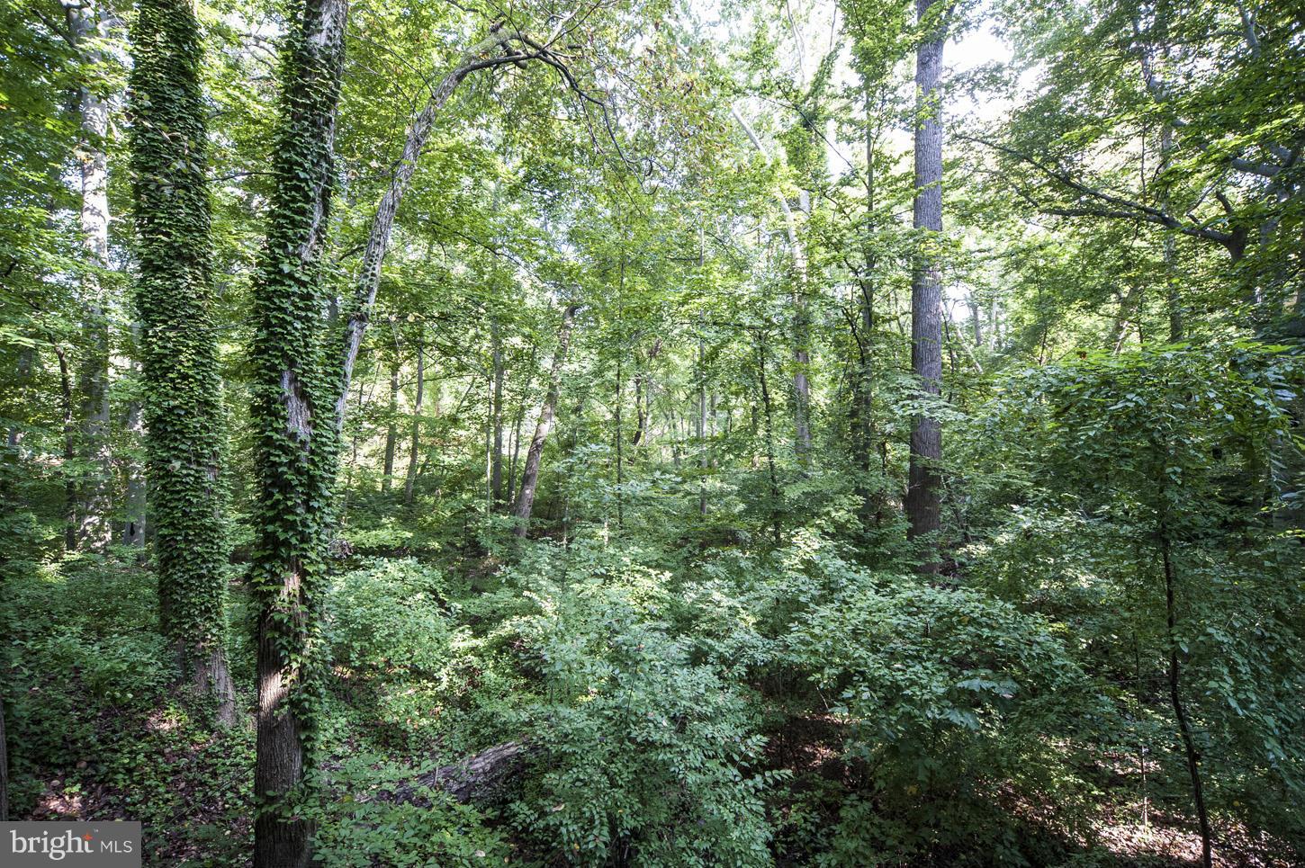 BRADLEY HILLS GROVE - Residential