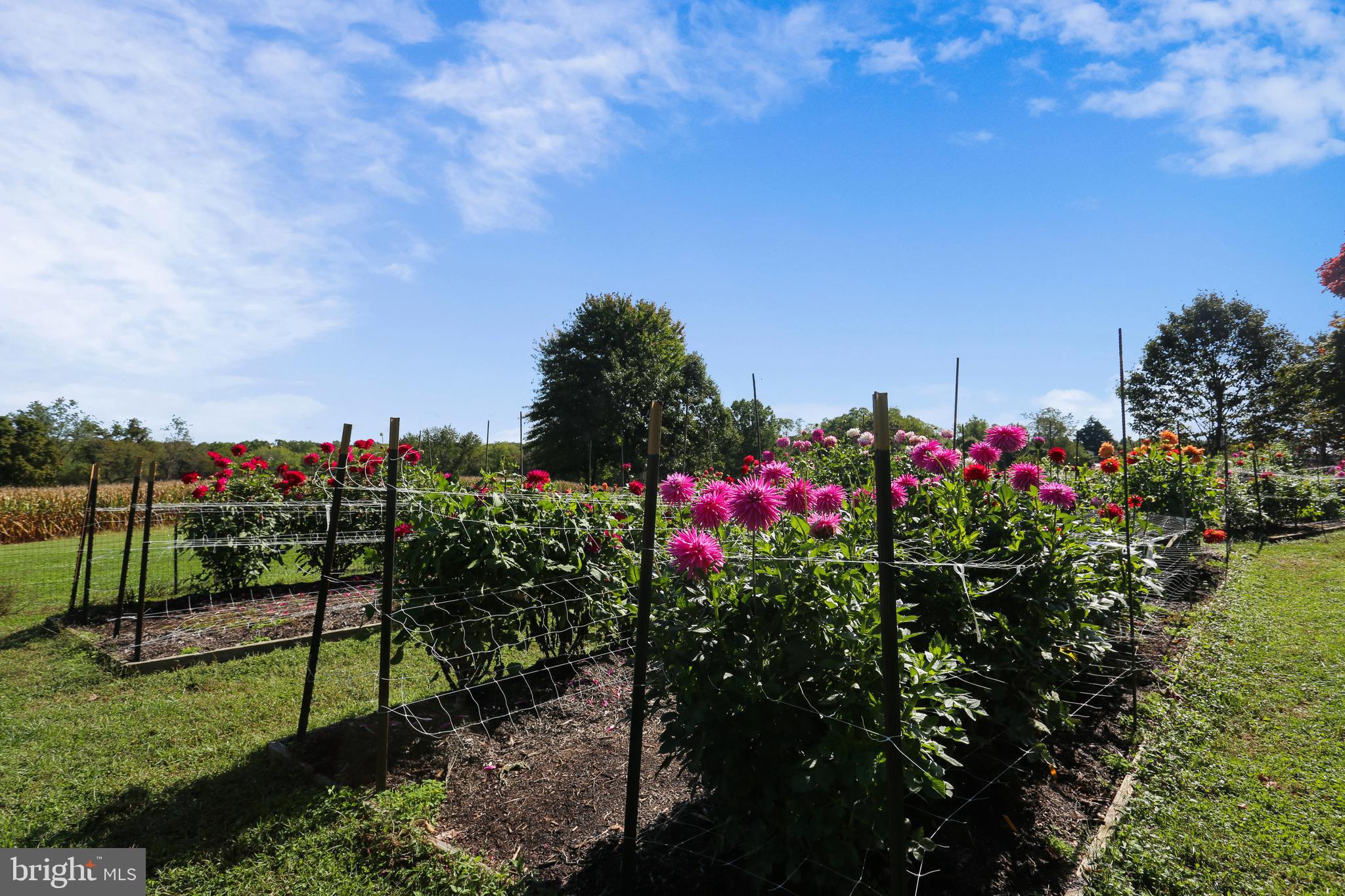 FIRESIDE - Residential
