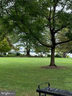 VIRGINIA VILLAGE - Residential Lease