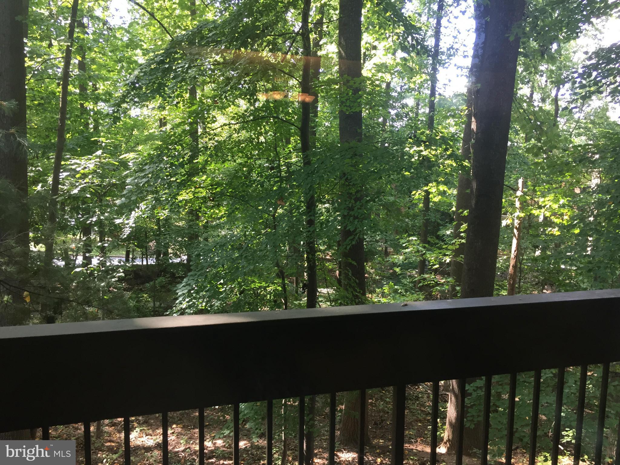 SUMNER VILLAGE - Residential Lease