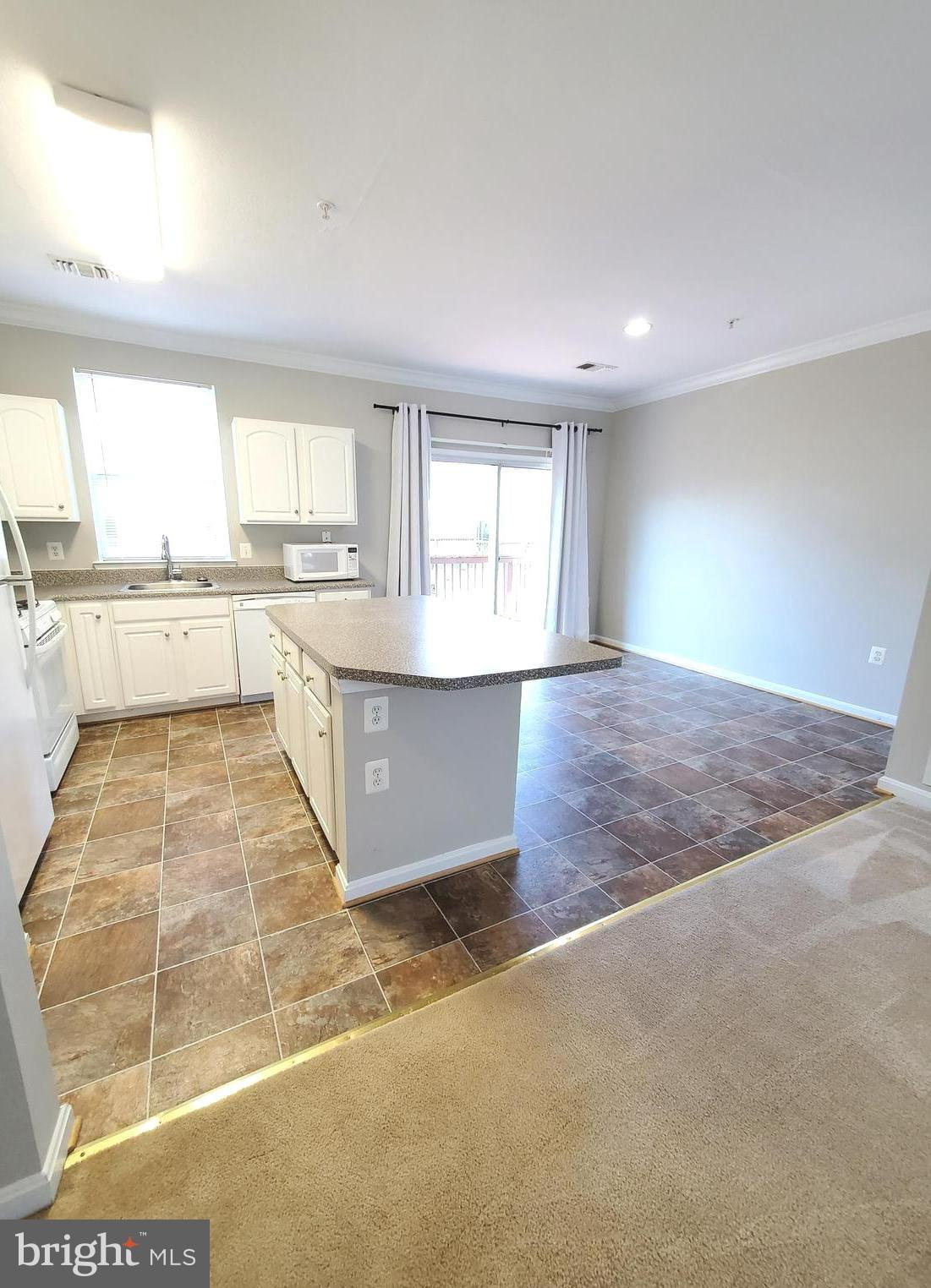 PARKSIDE AT ASHBURN - Residential