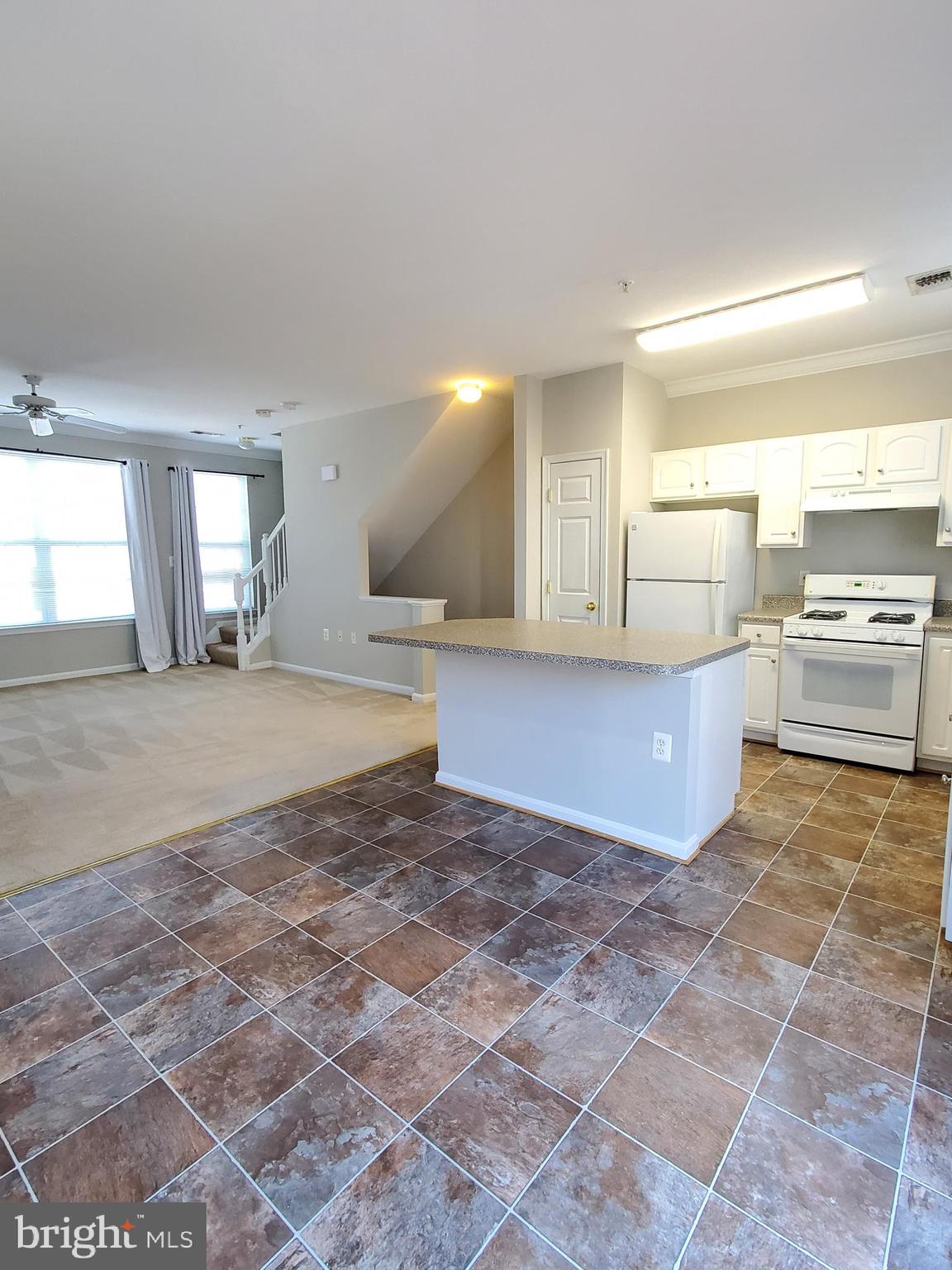 PARKSIDE AT ASHBURN - Residential