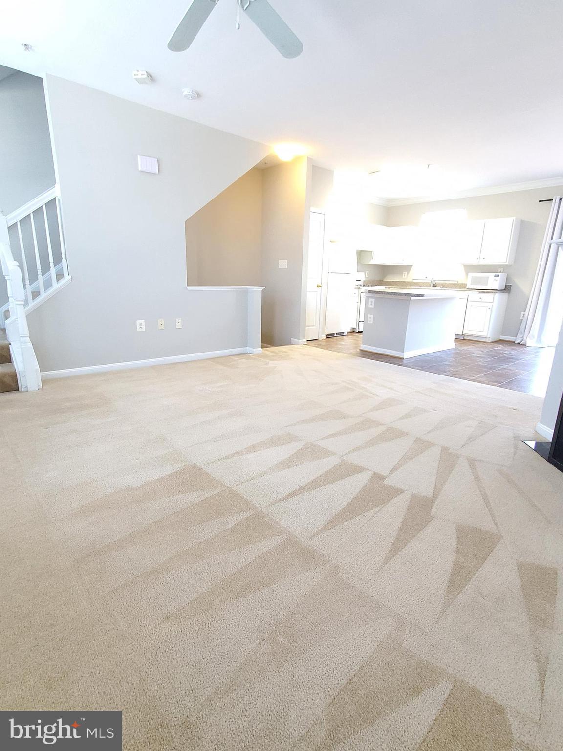 PARKSIDE AT ASHBURN - Residential