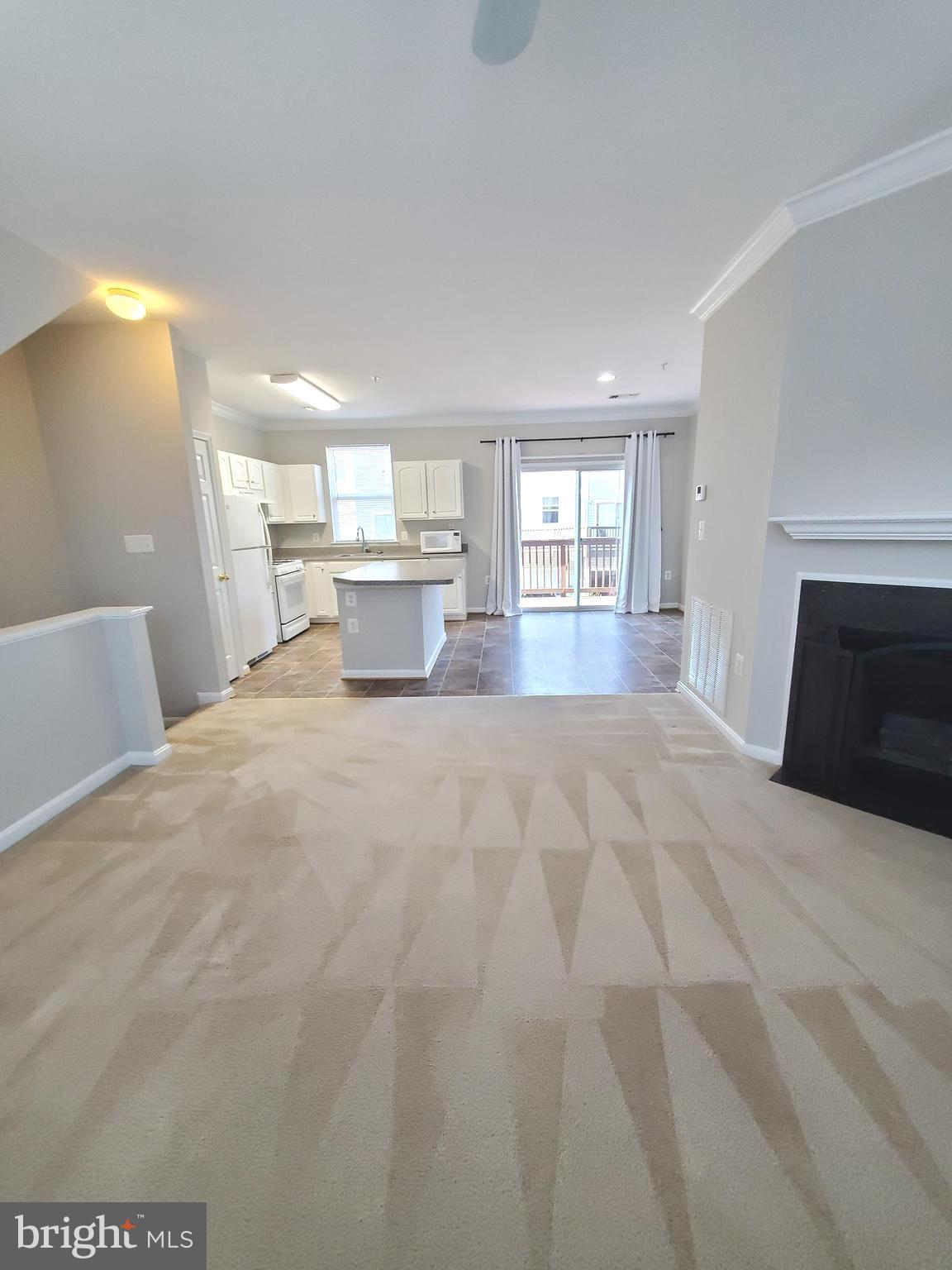 PARKSIDE AT ASHBURN - Residential