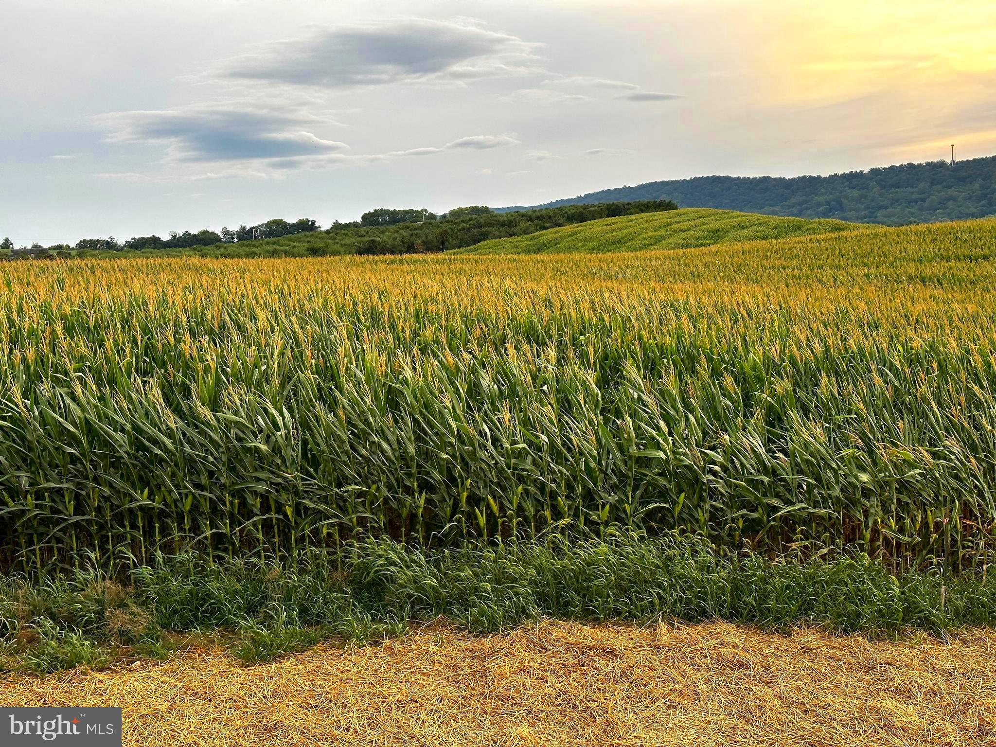 RED HILL - Residential