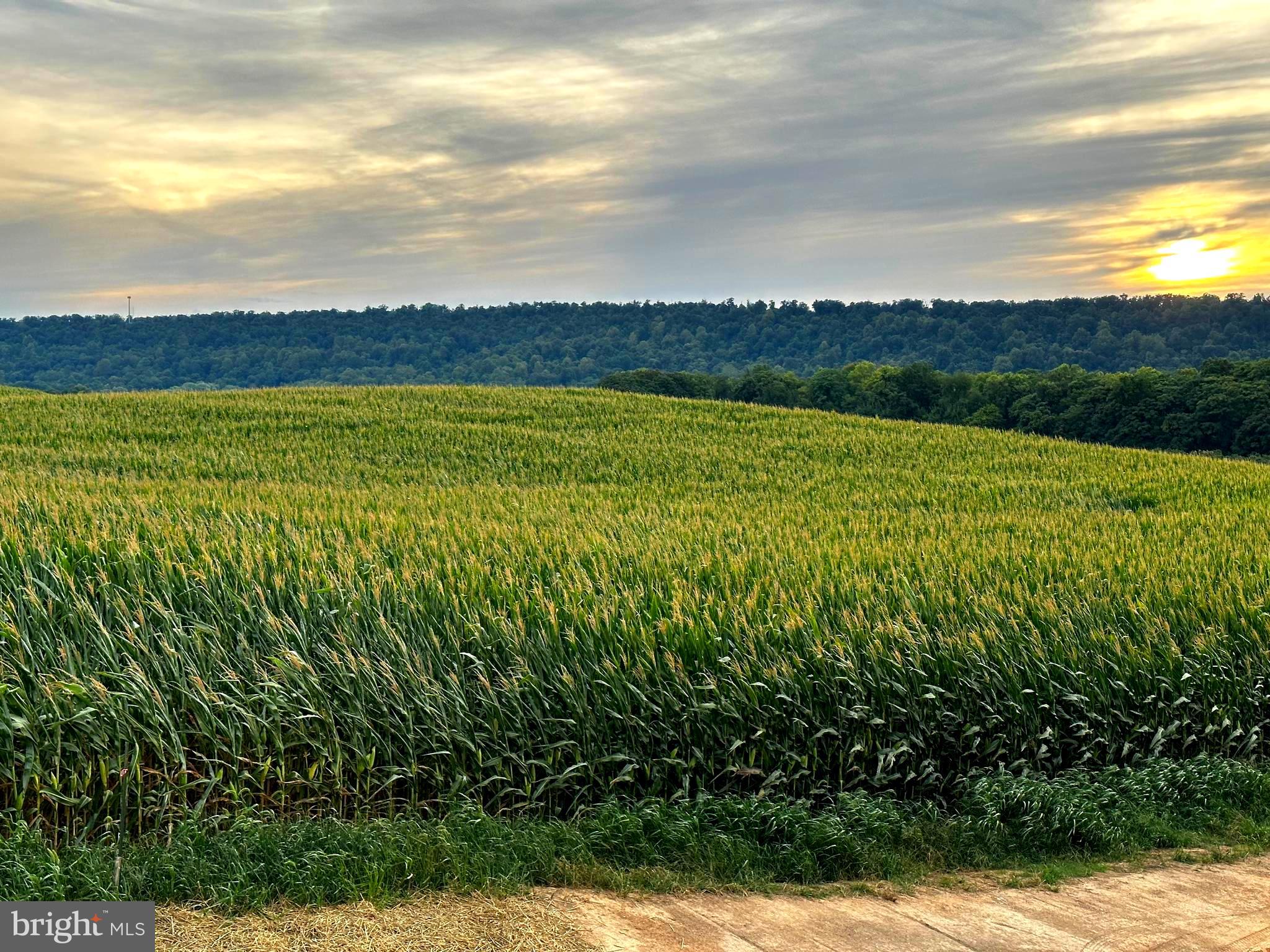 RED HILL - Residential
