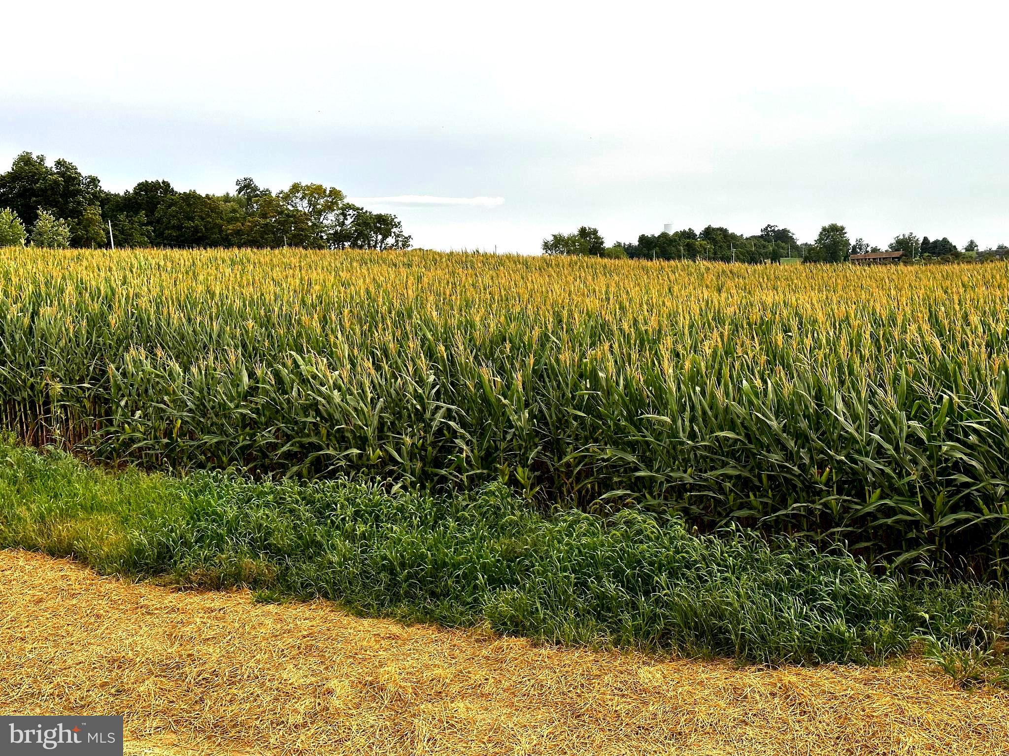 RED HILL - Residential