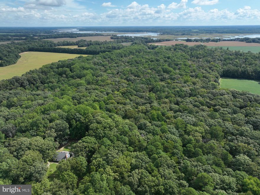 The 4 ACRE Parcel is Under Contract. LISTING IS FOR 35 ACRES. 

PRICE REDUCTION - The timbe cut has been started. 

Nestled in the countryside outside of Easton, MD, this glorious mixed hardwood forest is sure to please the outdoor enthusiast. Excellent property for a home if you want that country feel with the all the conveniences minutes away. The forest is made up of good hardwoods, oaks, and mixed pine throughout with a ravine and creek on the north side of the property. This land almost stretches to the water and is surrounded by agriculture making this the perfect hunting grounds. An abundance of deer and turkey have been captured on film and seen. Within the past year, a new survey has been completed, along with a timber survey that has revealed $130,000 worth of timber on this property. There are two parcels for sale with access directly from Boston Cliff Road. A soil evaluation has recently been done by Accurate Environmental with positive results, but buyer would need to do their due diligence with the county for a passing perc test to build a home. Properties like this one don't come along that often, and at nearly 40 acres, you'll want to schedule your own private tour.

THIS PROPERTY IS SCHEDULED FOR A TIMBER CUT THAT WILL CONVEY. BUYER WILL RECEIVE $100,000 BACK FROM THE TIMBER IF THE PROPERTY IS CONTRACTED BEFORE THE CUT.