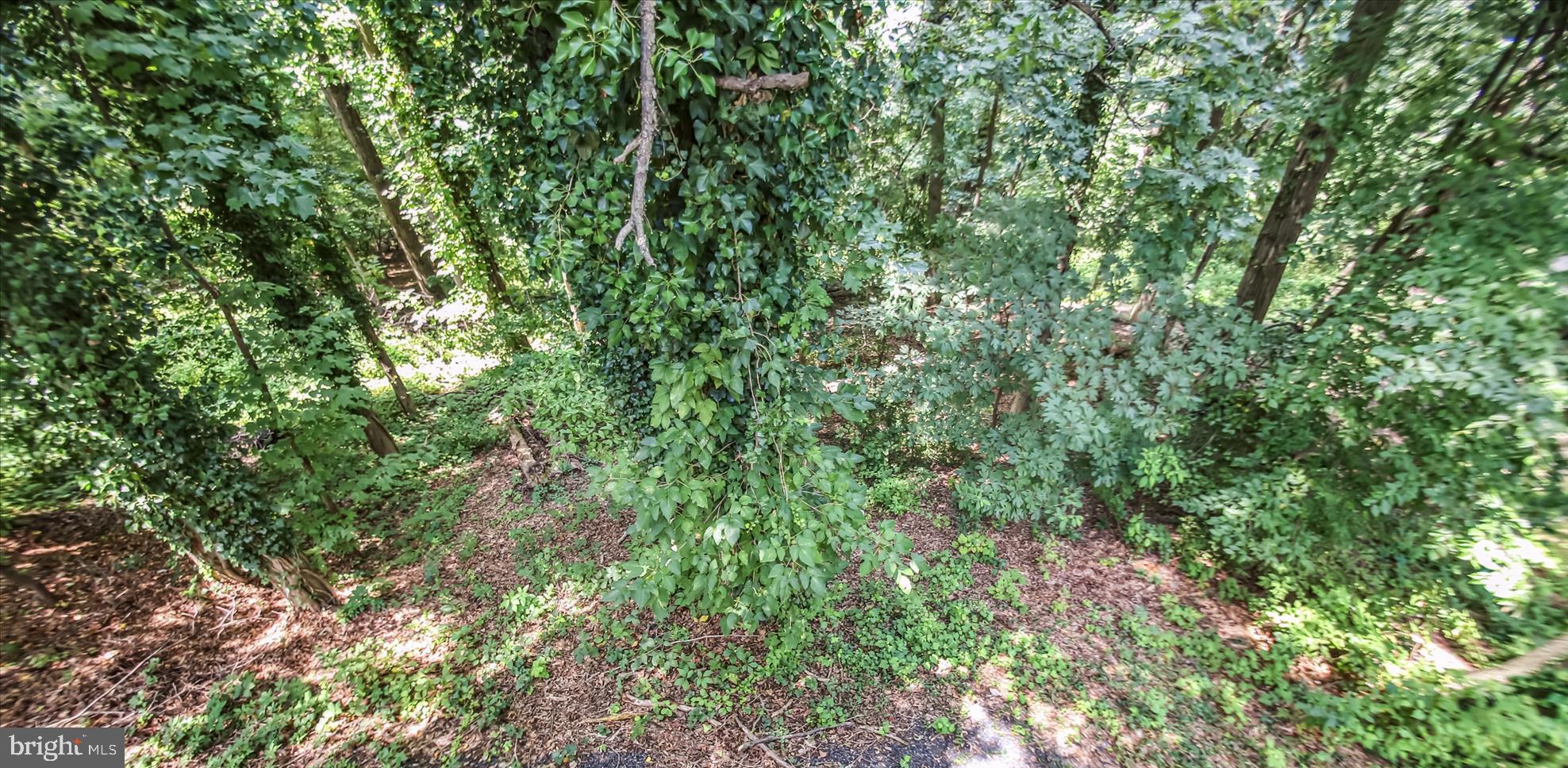 LINTHICUM HEIGHTS - Residential