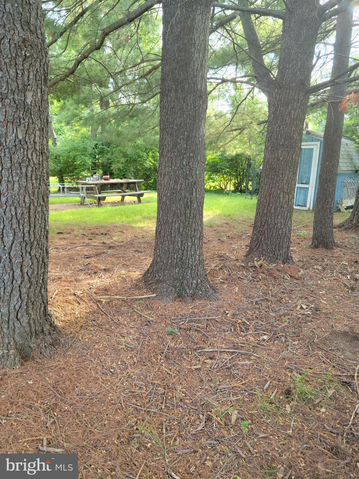 HAMILTON HEIGHTS - Residential