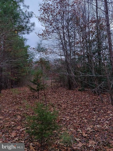 Vacant Land For Sale - Us Route 1<br/> Caroline County, RUTHER GLEN, VA 22546
