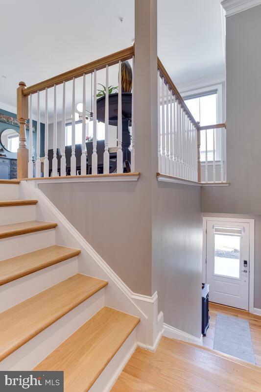 CAPITAL COURT - Residential Lease