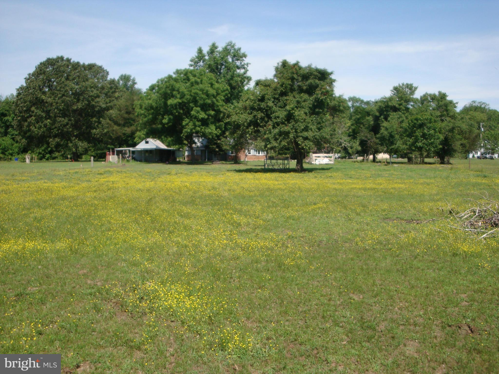 BRIERWOOD - Residential Lease