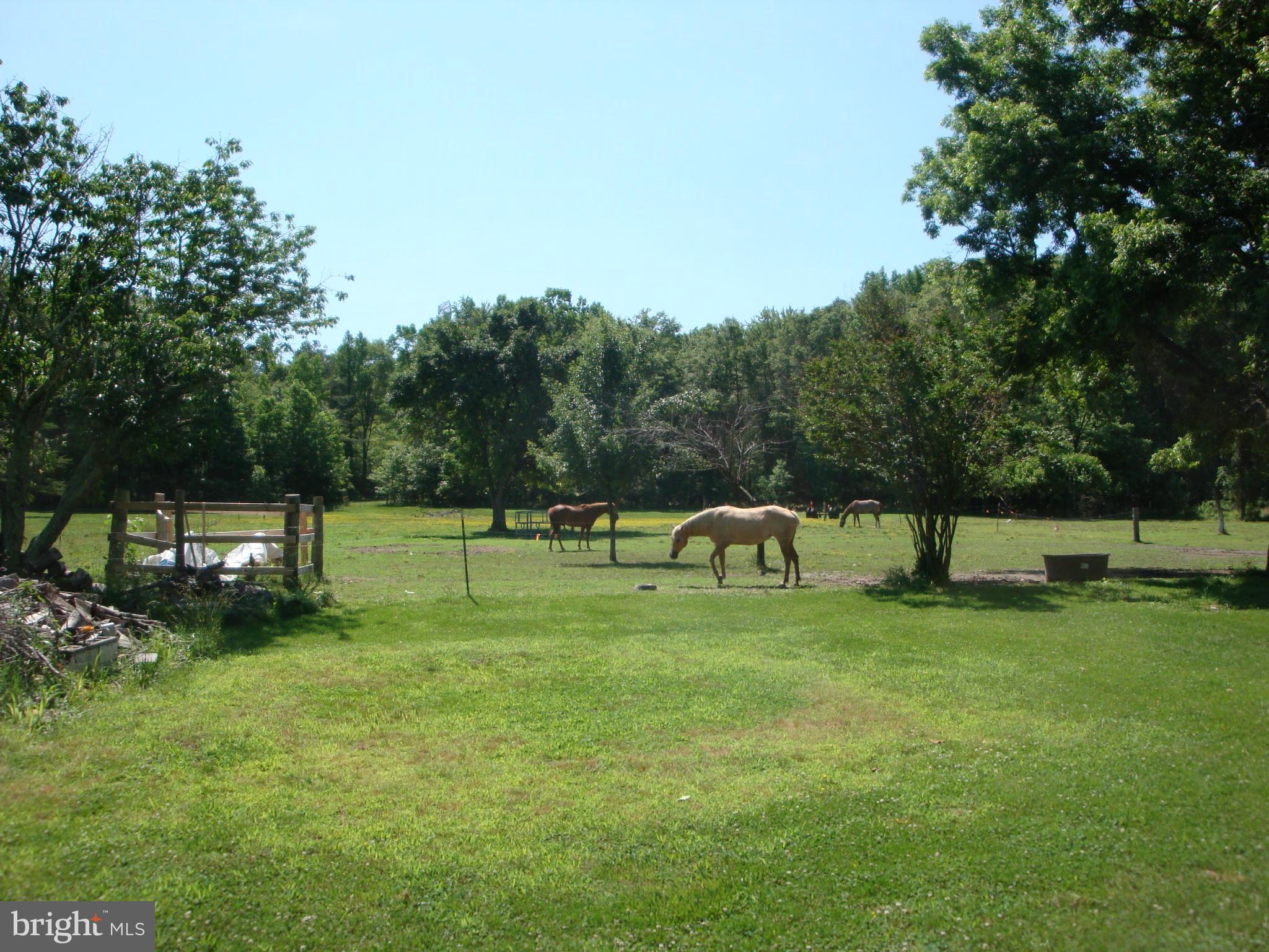 BRIERWOOD - Residential Lease