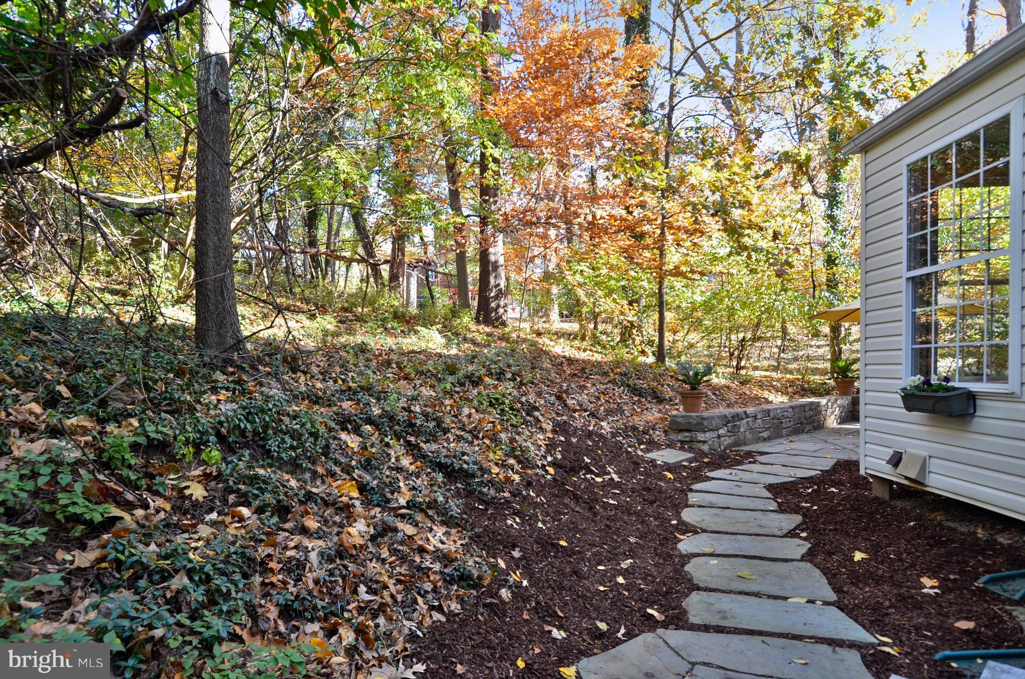 TAKOMA PARK - Residential