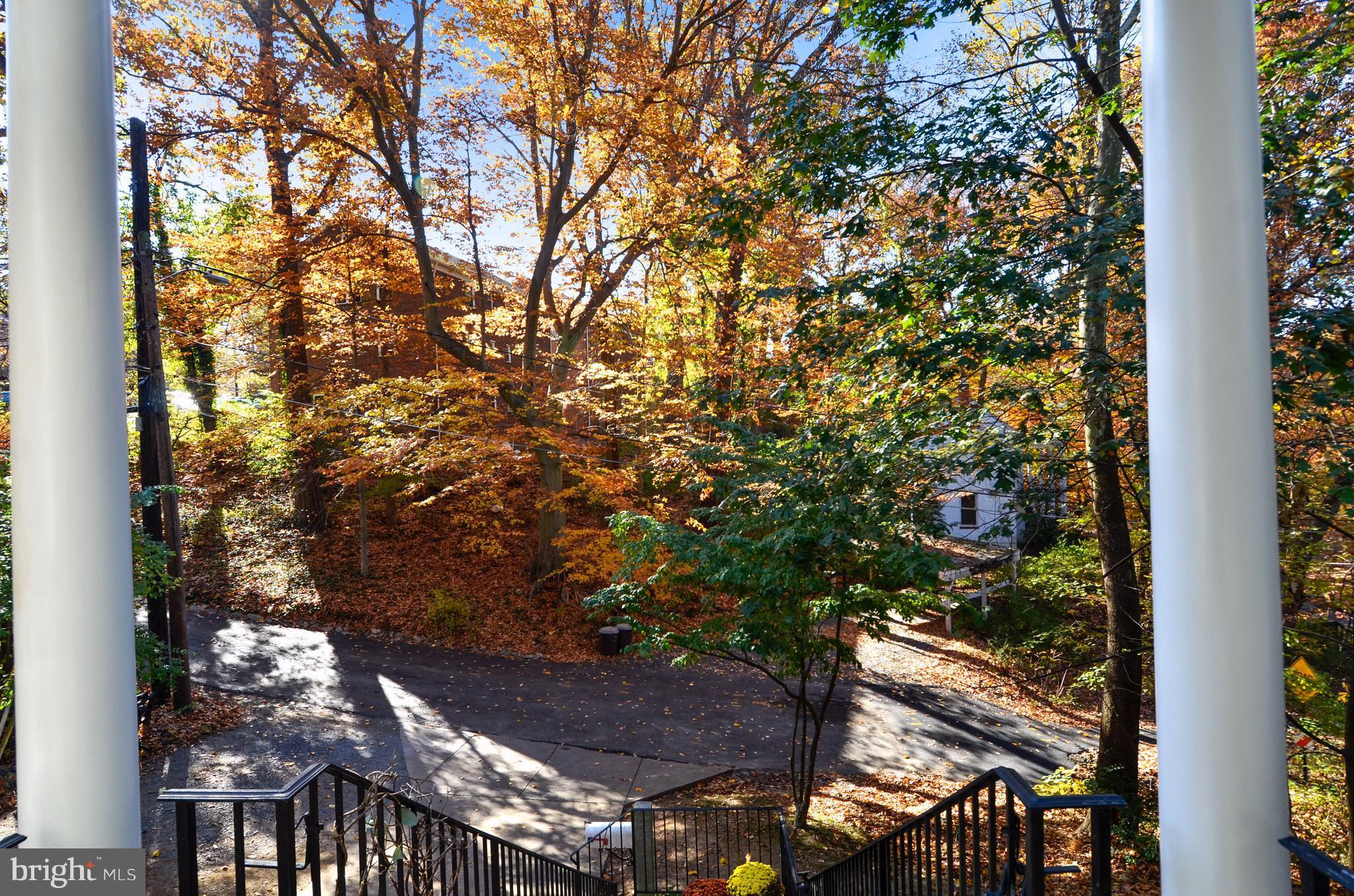 TAKOMA PARK - Residential