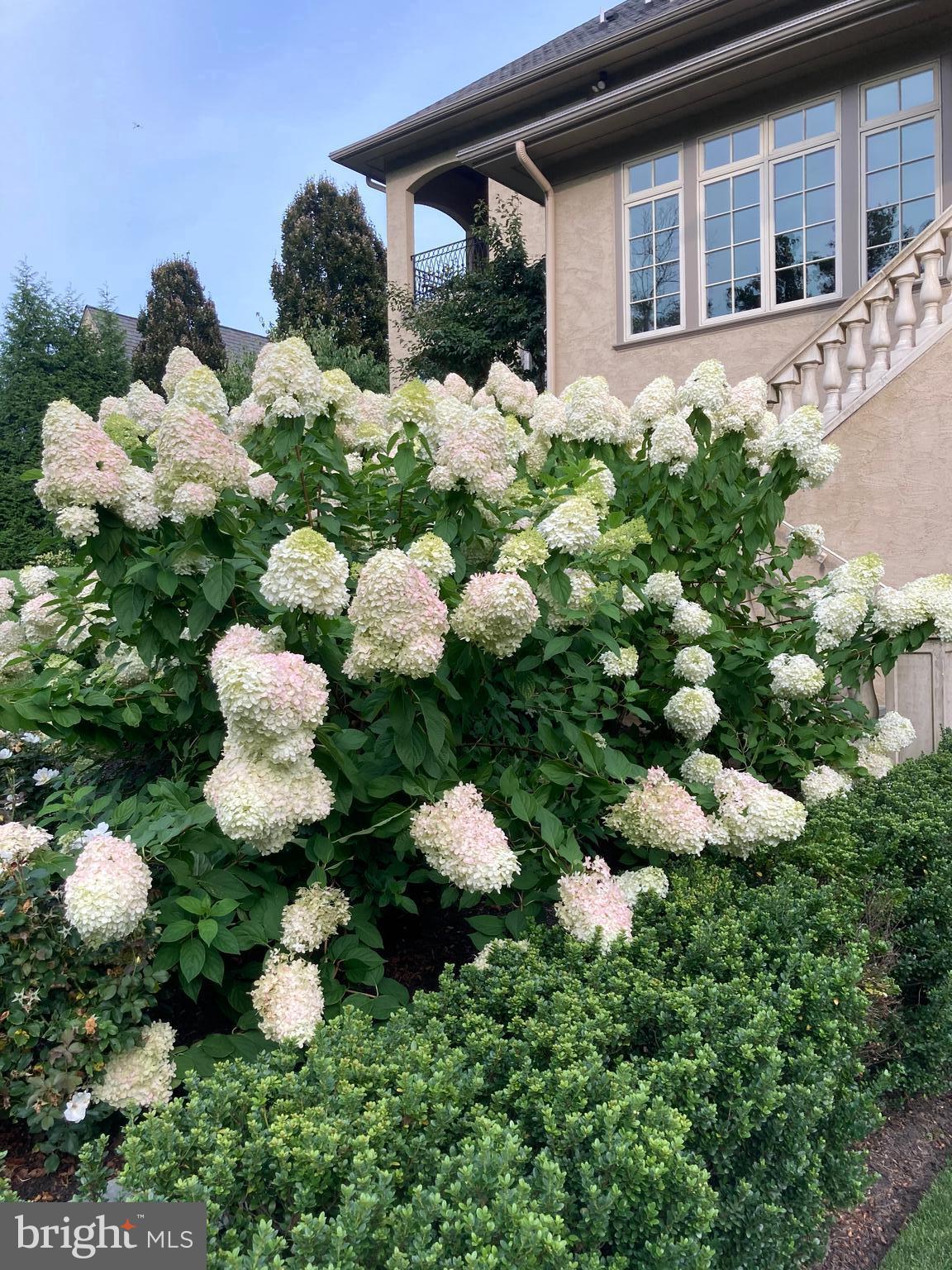 WINFIELD - Residential