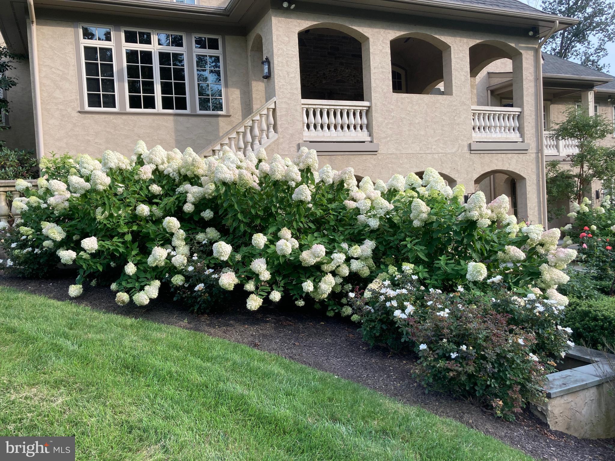 WINFIELD - Residential