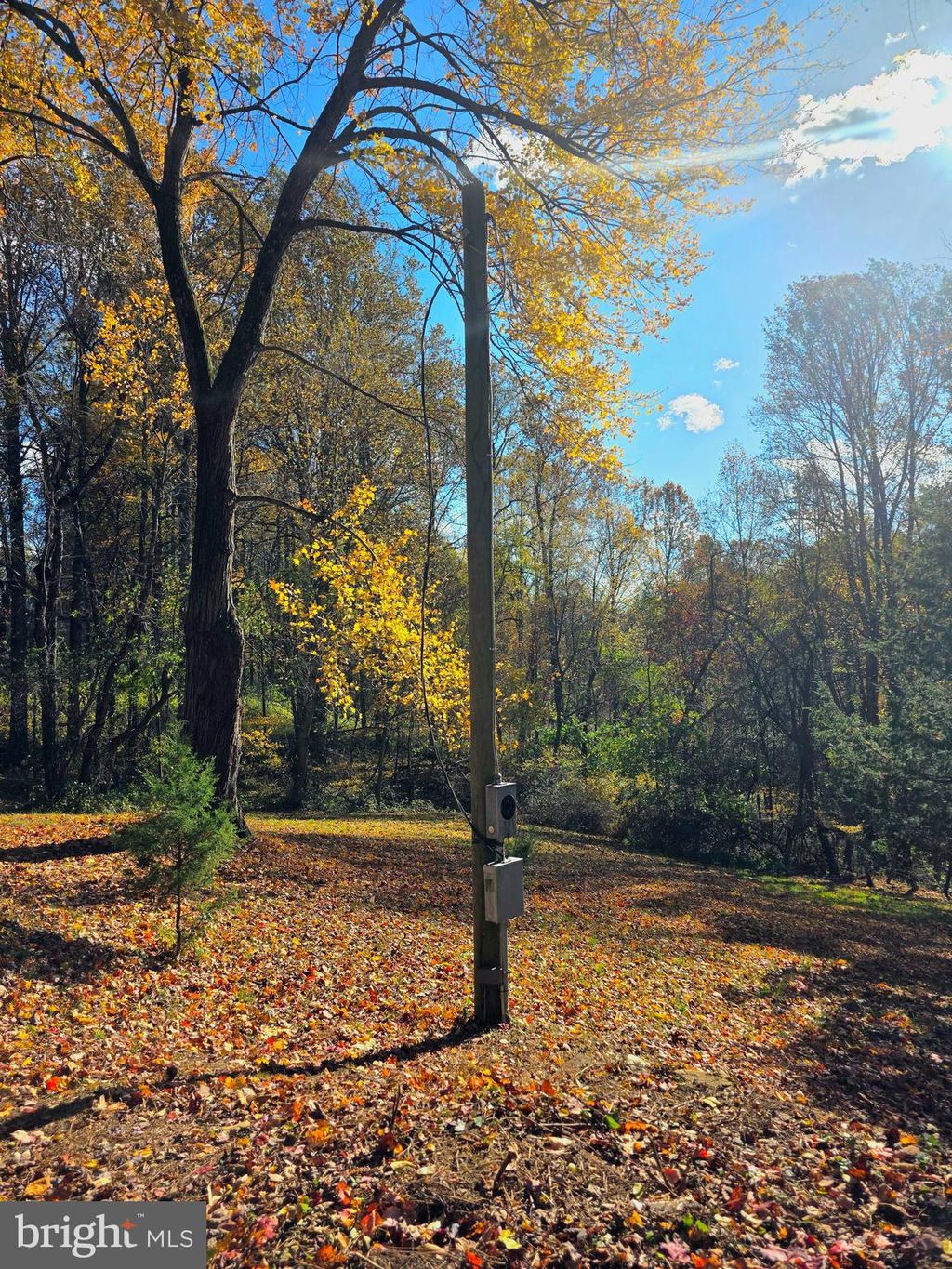 Photo of 257 Wiley Mill Road, NEW PARK, PA 17352 (MLS # PAYK2093204)