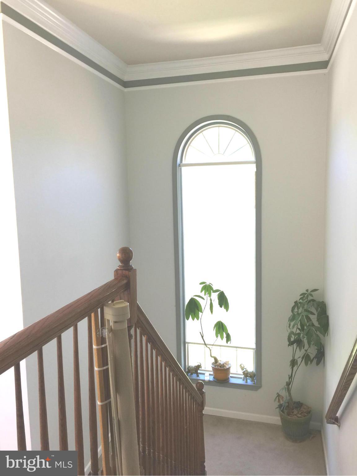 HILLSDALE ESTATES - Residential