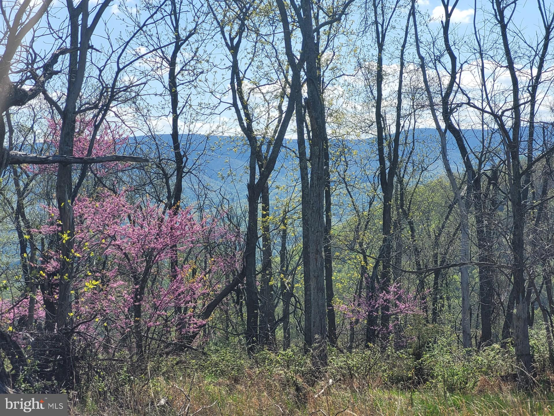 DEERFIELD HIGHLANDS - Land