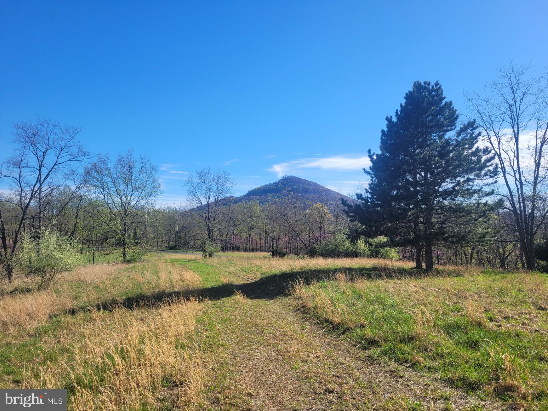 PREMIUM ACREAGE FOR SALE! This property is able to meet all your needs, lot is extremely LEVEL! Excellent access by way of a well maintained gravel road, BREATHTAKING VIEWS of the WV mountain ranges, including an exceptional view of High Knob. CAMPING ALLOWED, HUNTING ALLOWED, you can bring your camper here, build a weekend cabin, or build your dream home here, this is one of the absolute nicest lots you will find. Electric is readily available, as well as a very low H.O.A fee of $100 annually. TONS OF WHITETAIL DEER, TURKEY, AND AN OCCASIONAL BEAR, JUST SIT AND LISTEN TO THE SOUND OF THE WHIPPOORWILL'S, THAT'S WHY THEY CALL IT "ALMOST HEAVEN" WEST VIRGINIA!