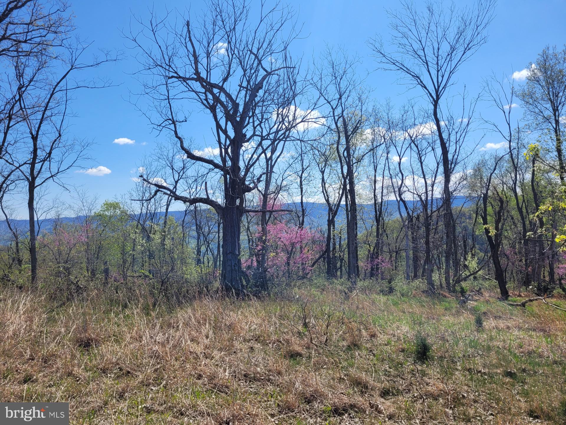 DEERFIELD HIGHLANDS - Land