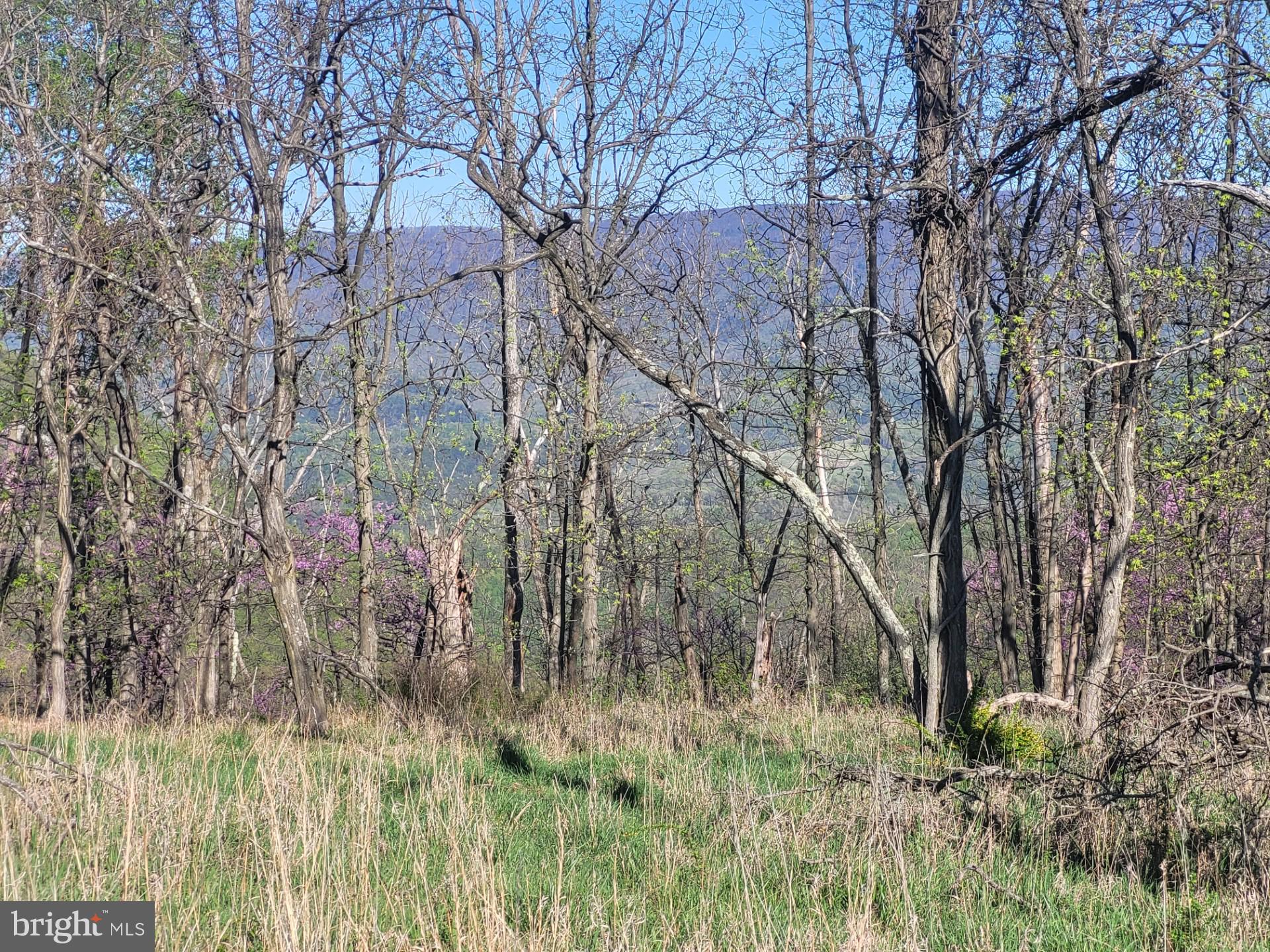 DEERFIELD HIGHLANDS - Land