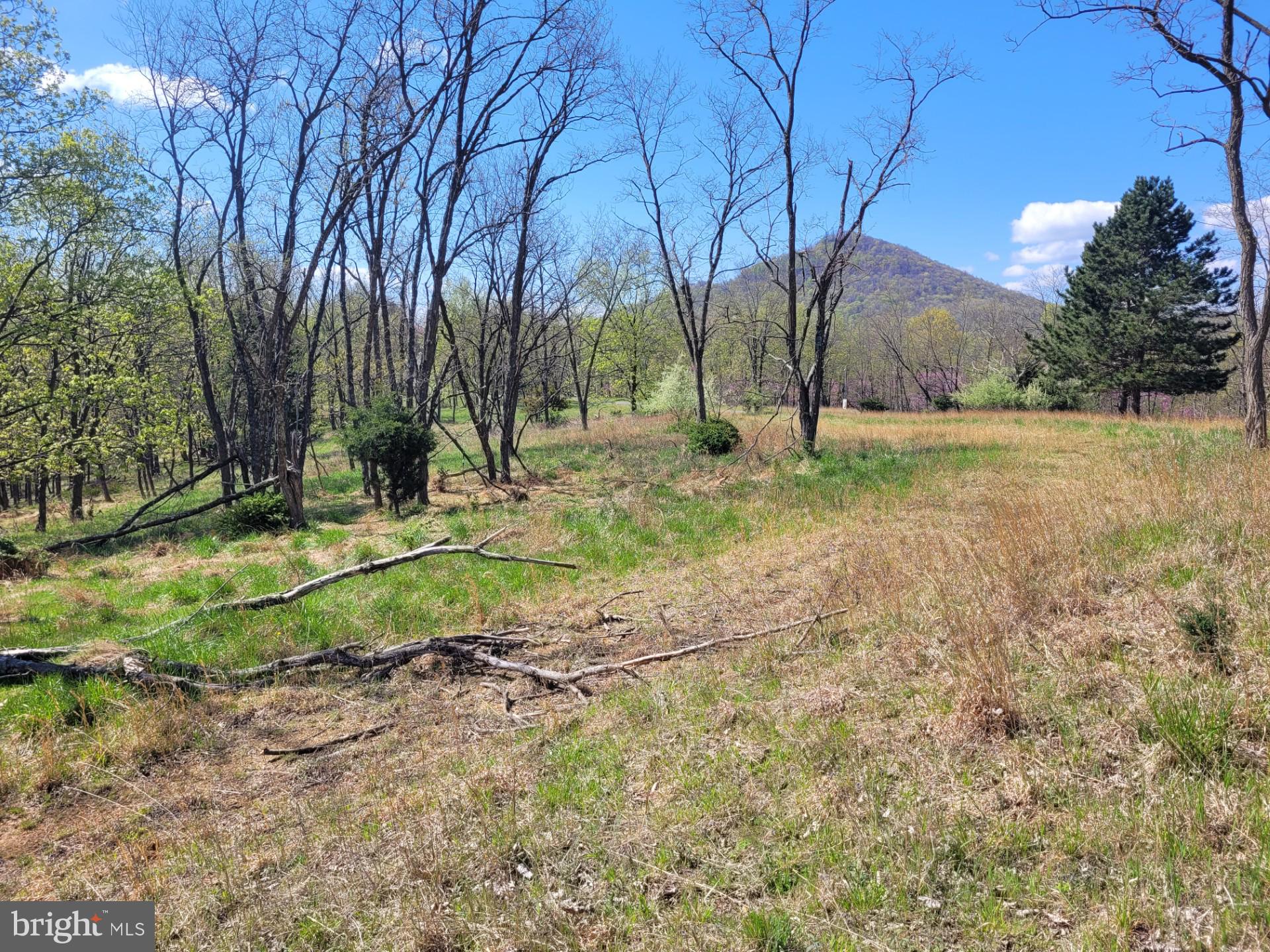 DEERFIELD HIGHLANDS - Land