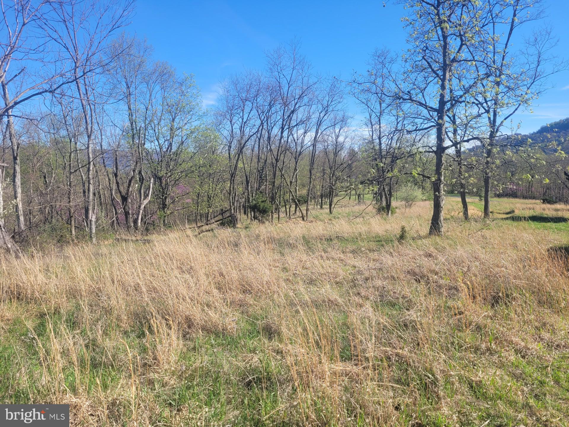 DEERFIELD HIGHLANDS - Land