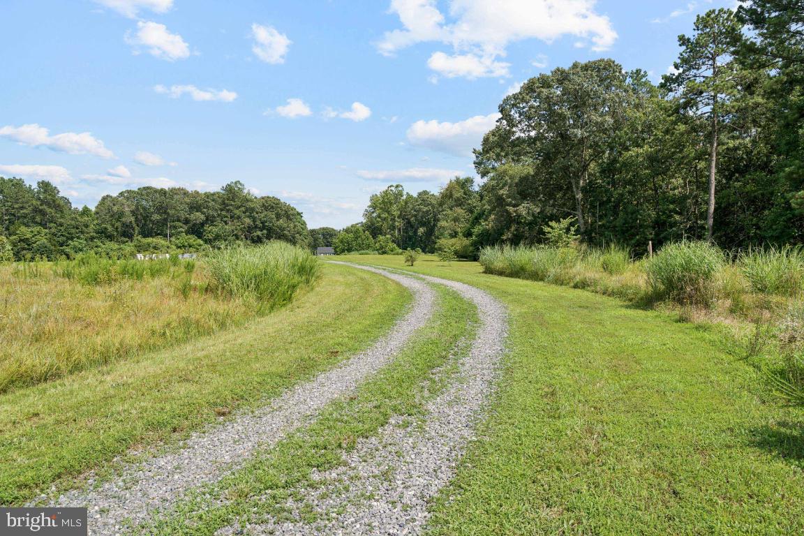 18167 LOCUST GROVE ROAD