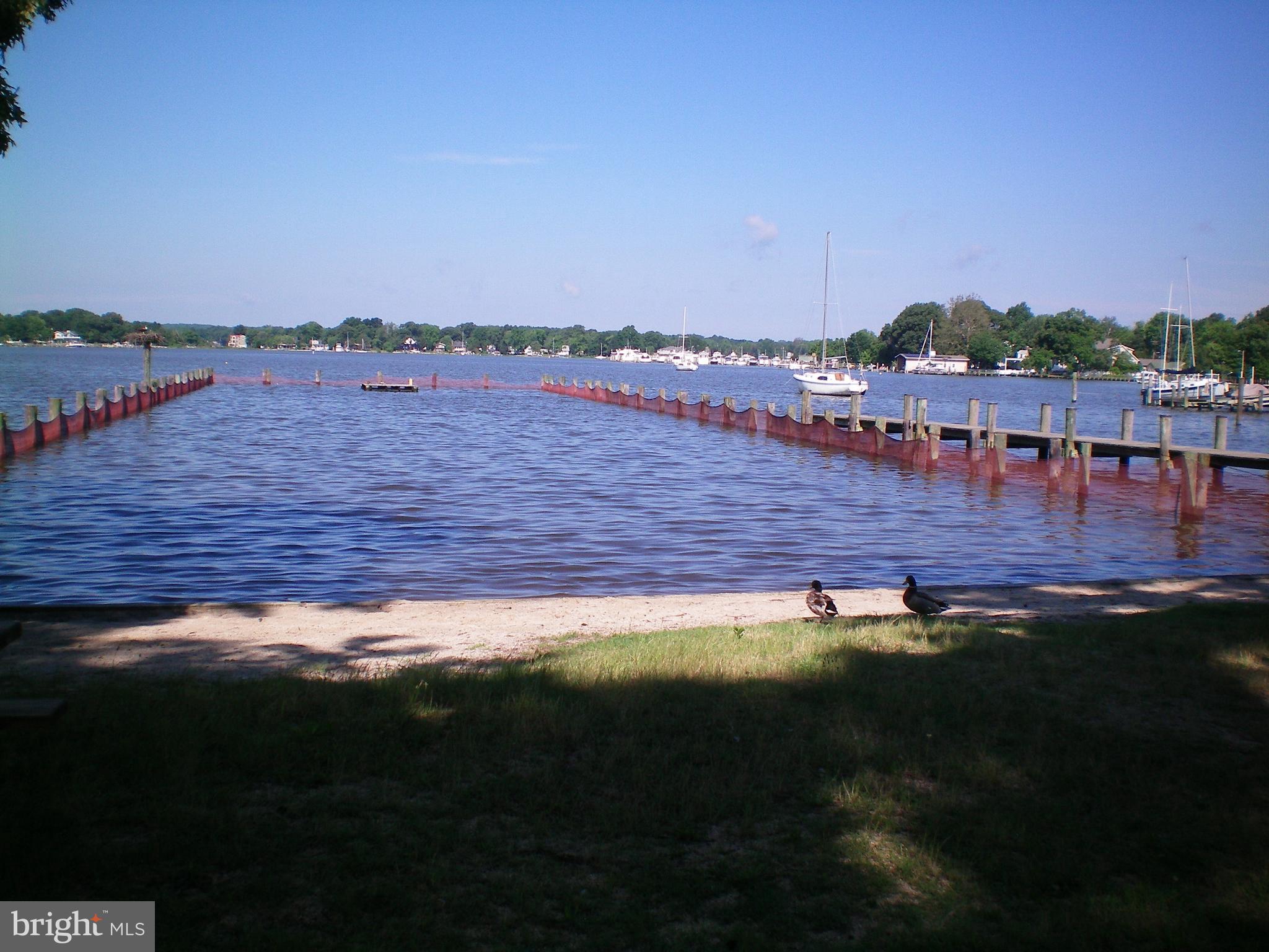 AVALON SHORES - Residential Lease