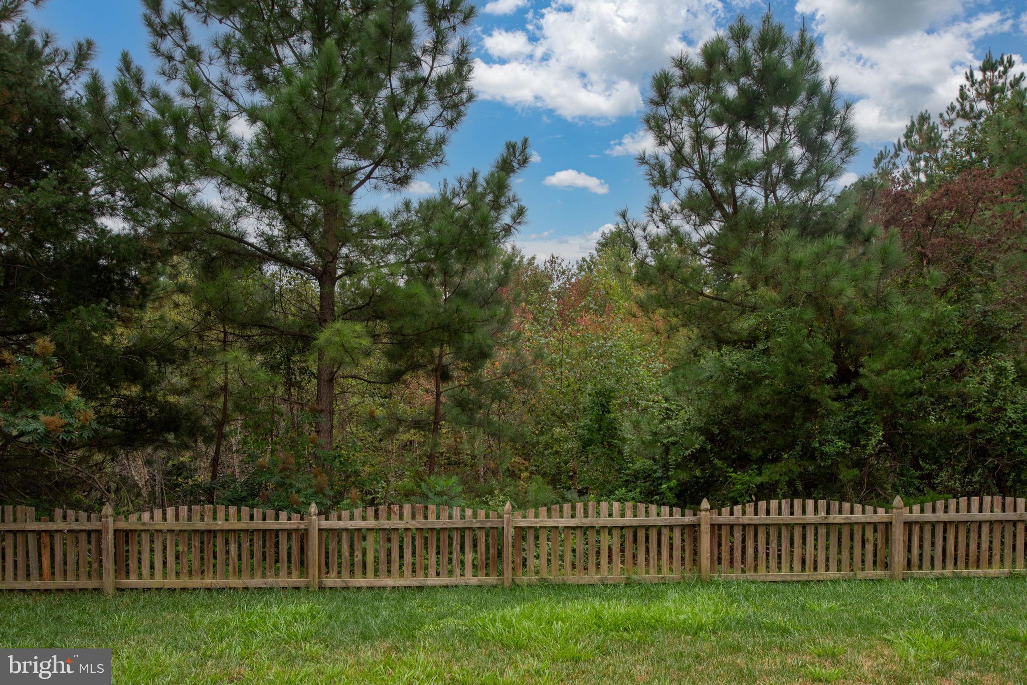 ESTATES AT LEE'S PARKE - Residential