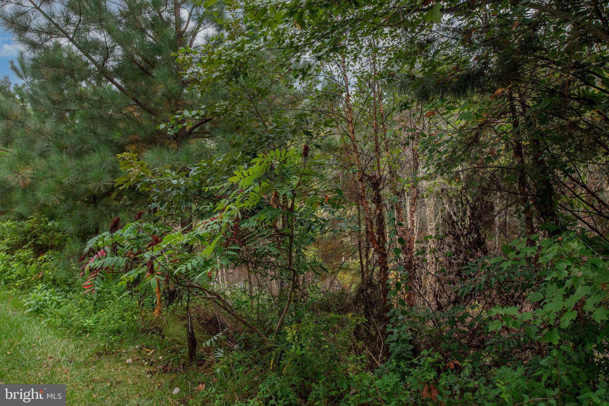 ESTATES AT LEE'S PARKE - Residential