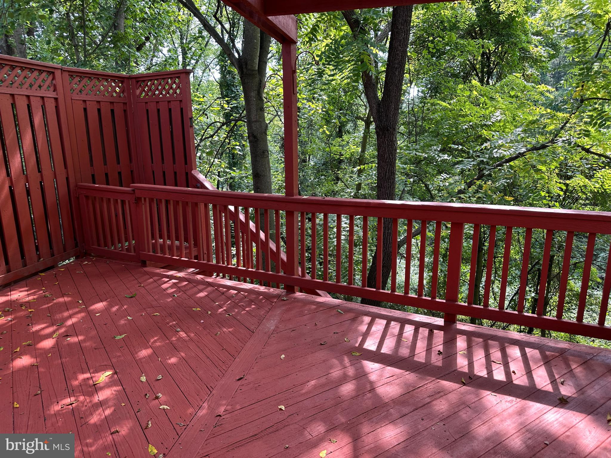 EMORY WOODS - Residential Lease