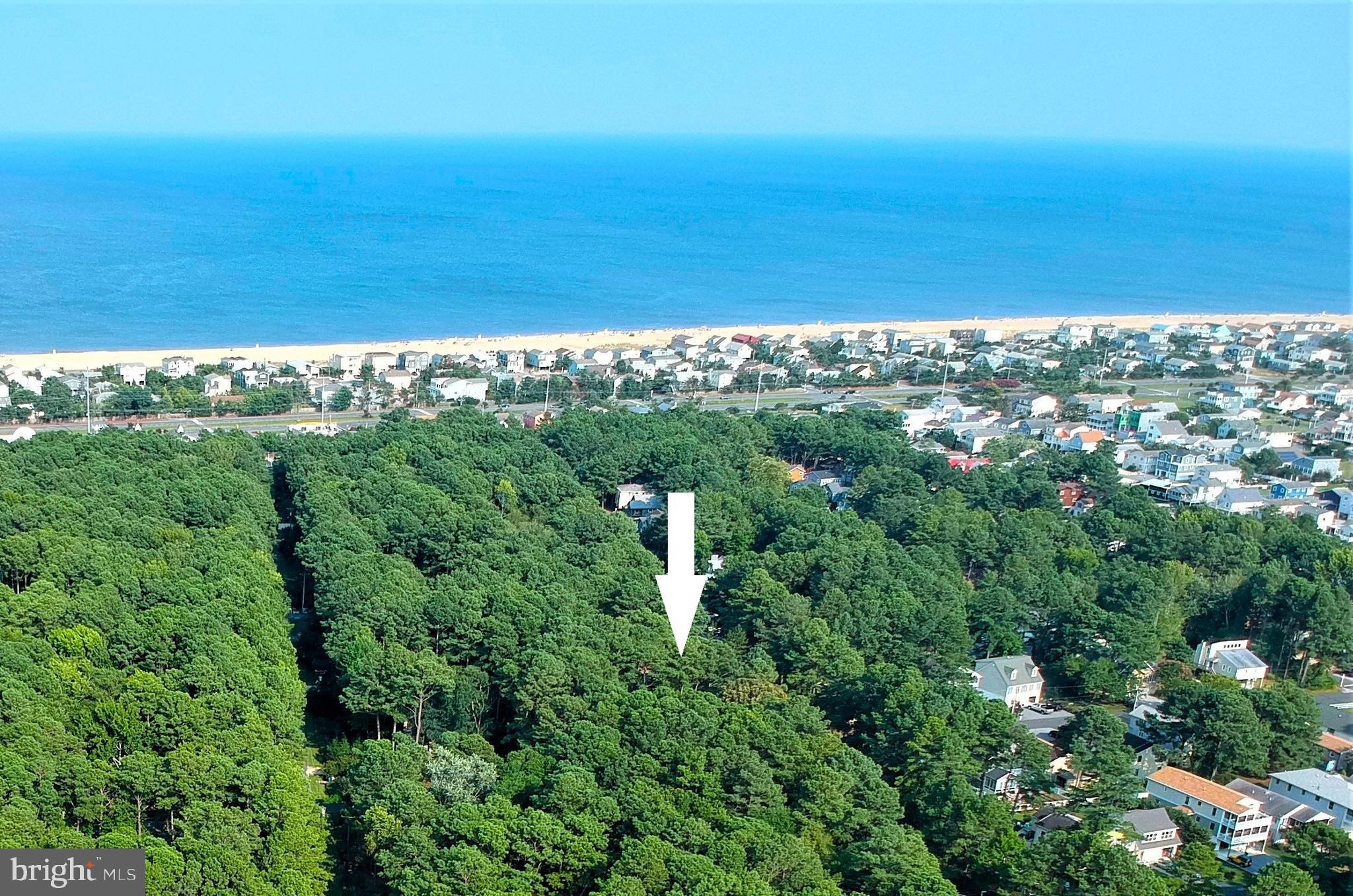 125 EVERGREEN ROAD