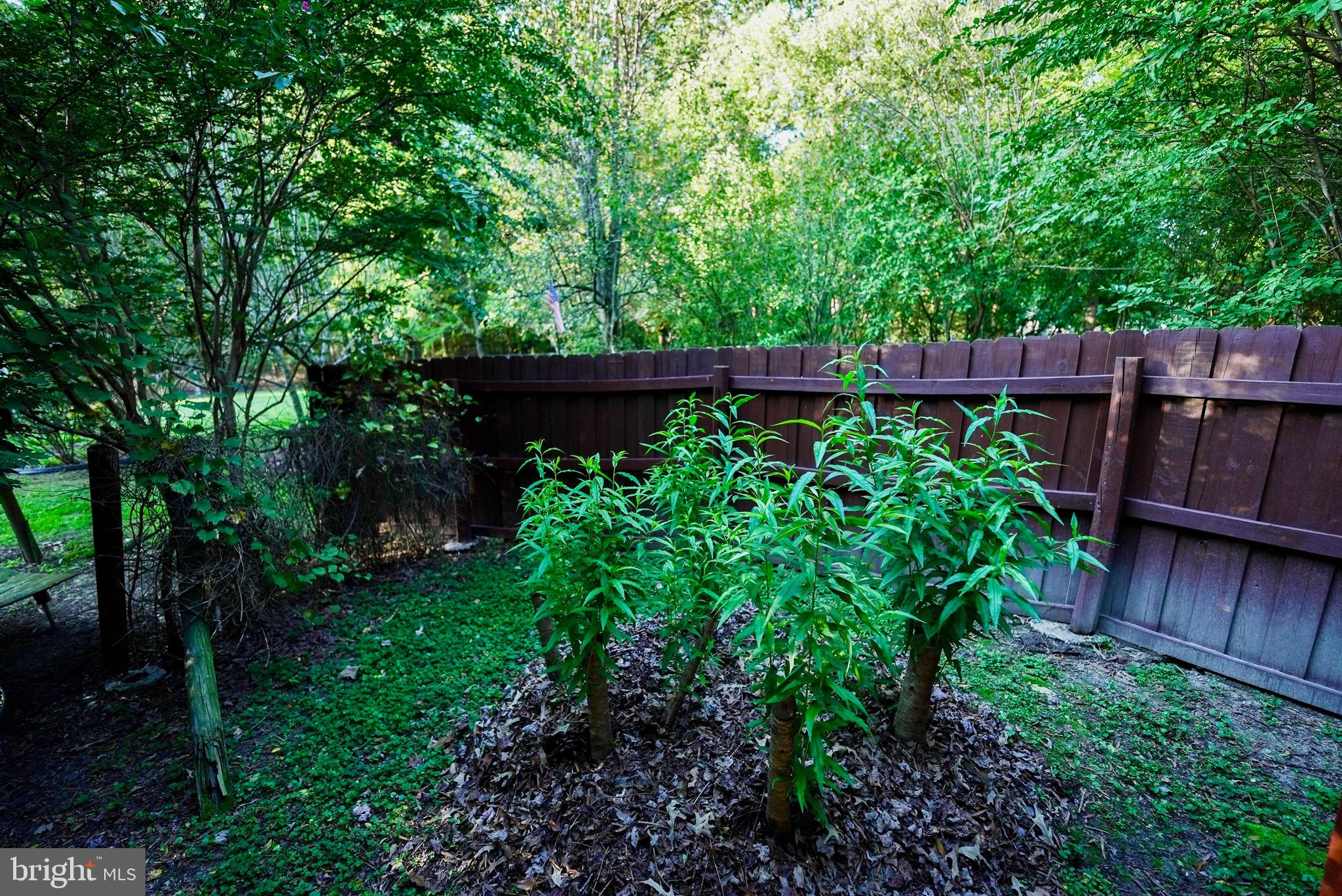 PRESQUILE - Residential