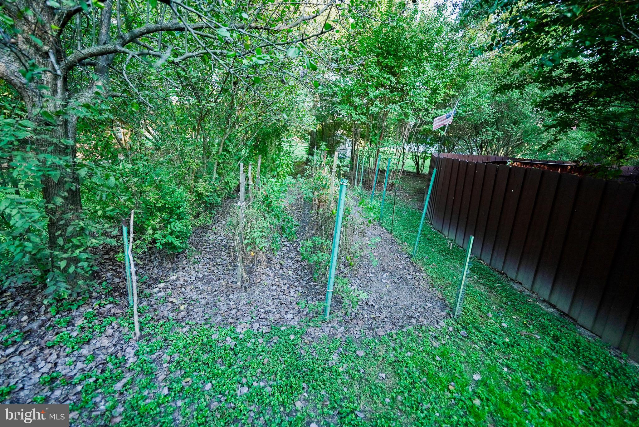 PRESQUILE - Residential